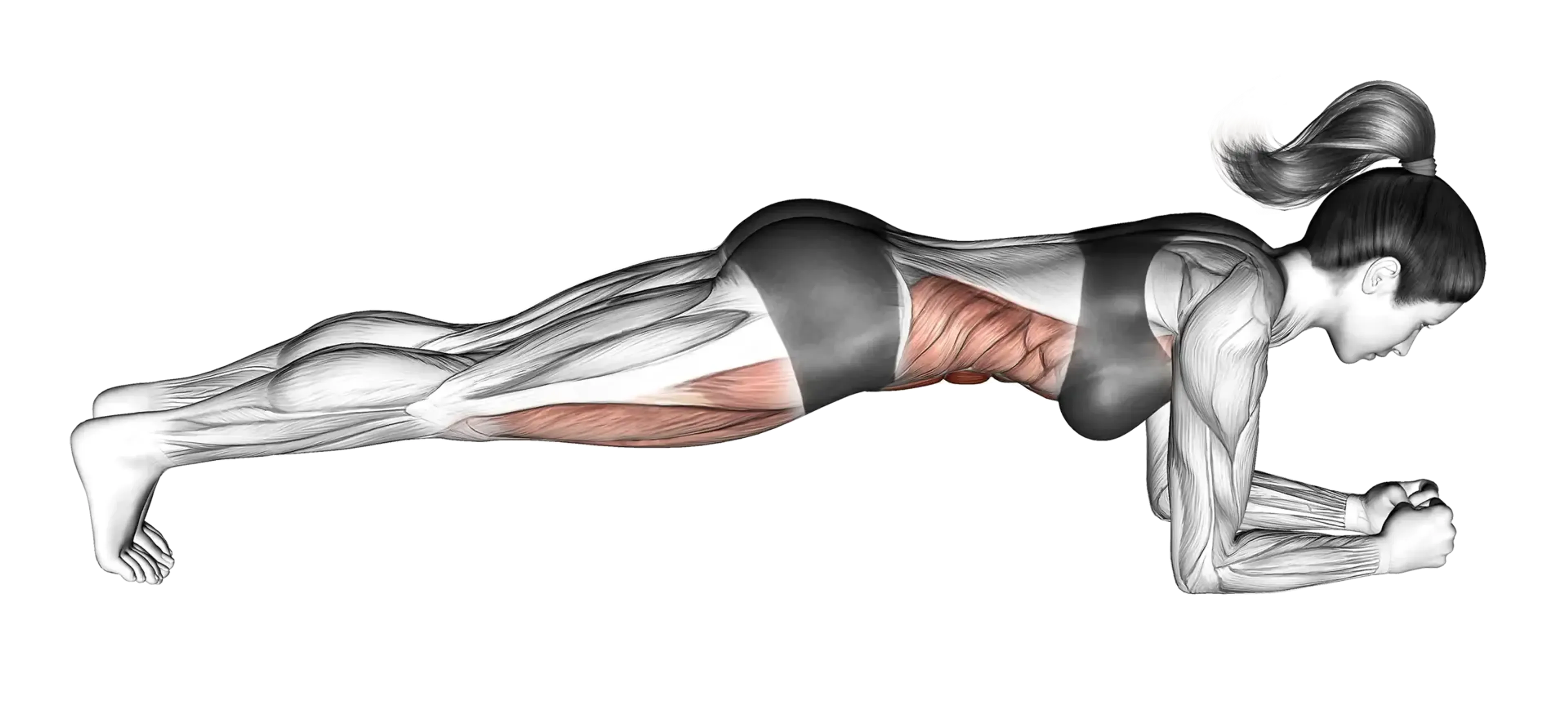 Plank