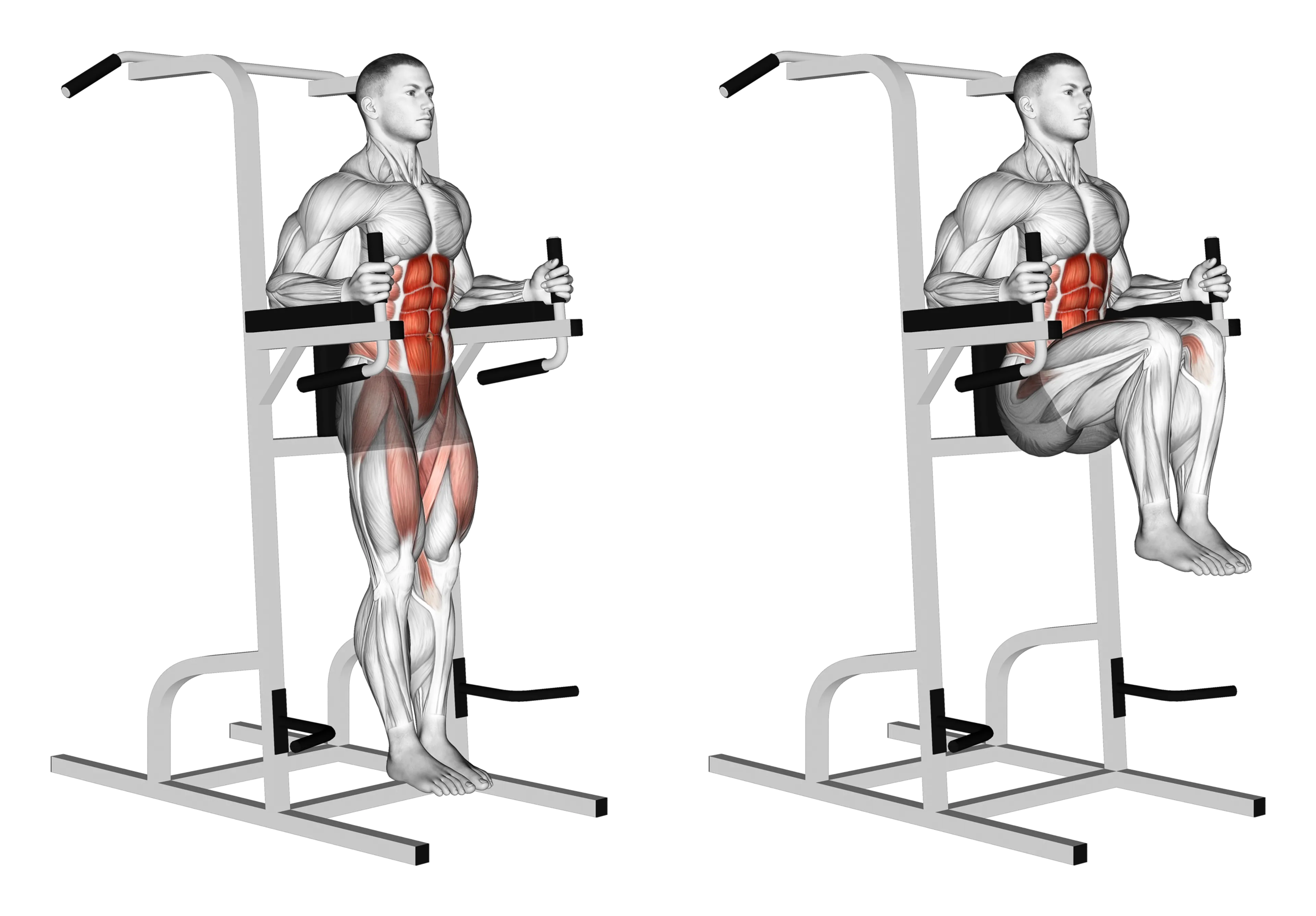 Parallel Bar Knee Raise