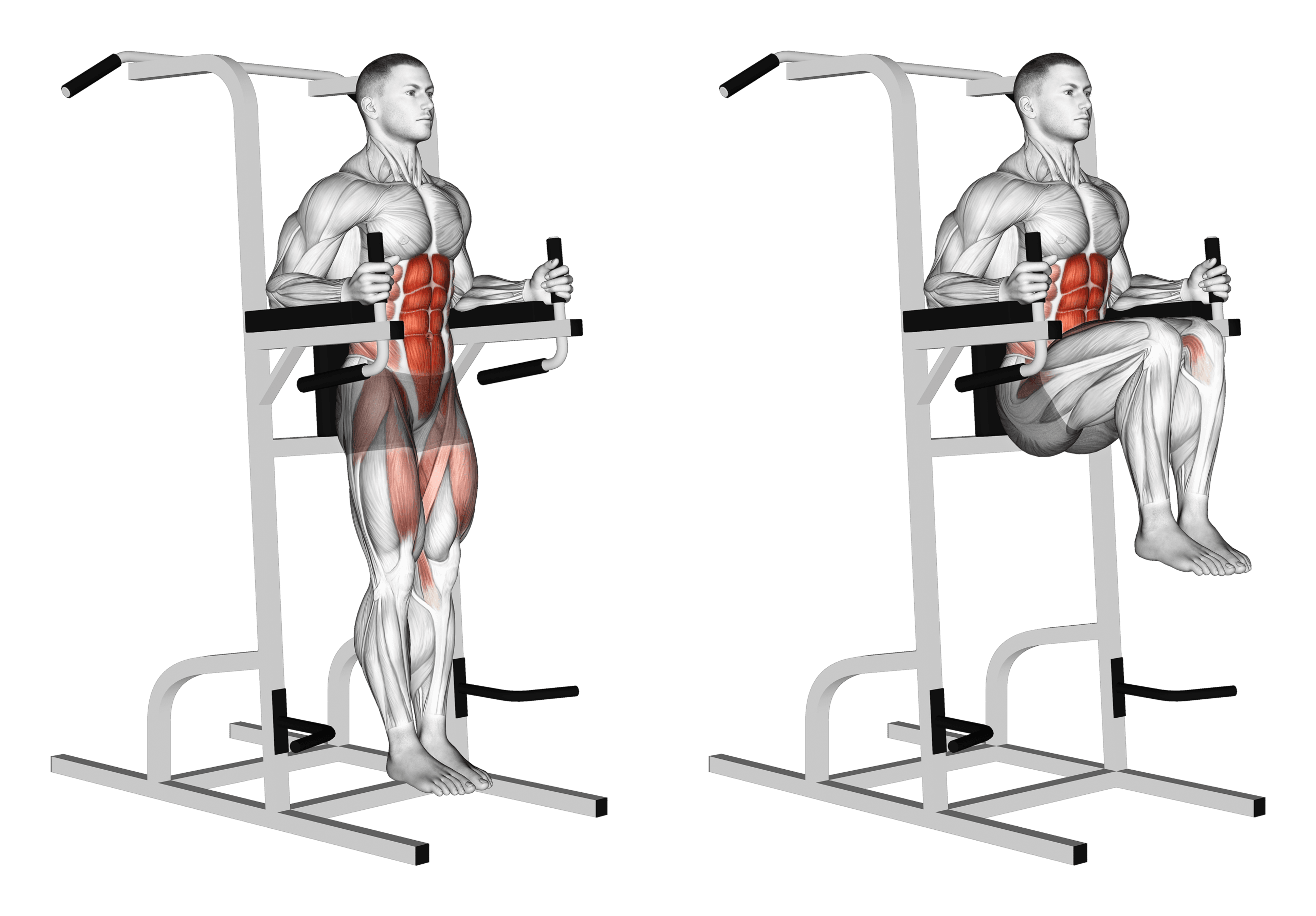 Parallel Bar Knee Raise