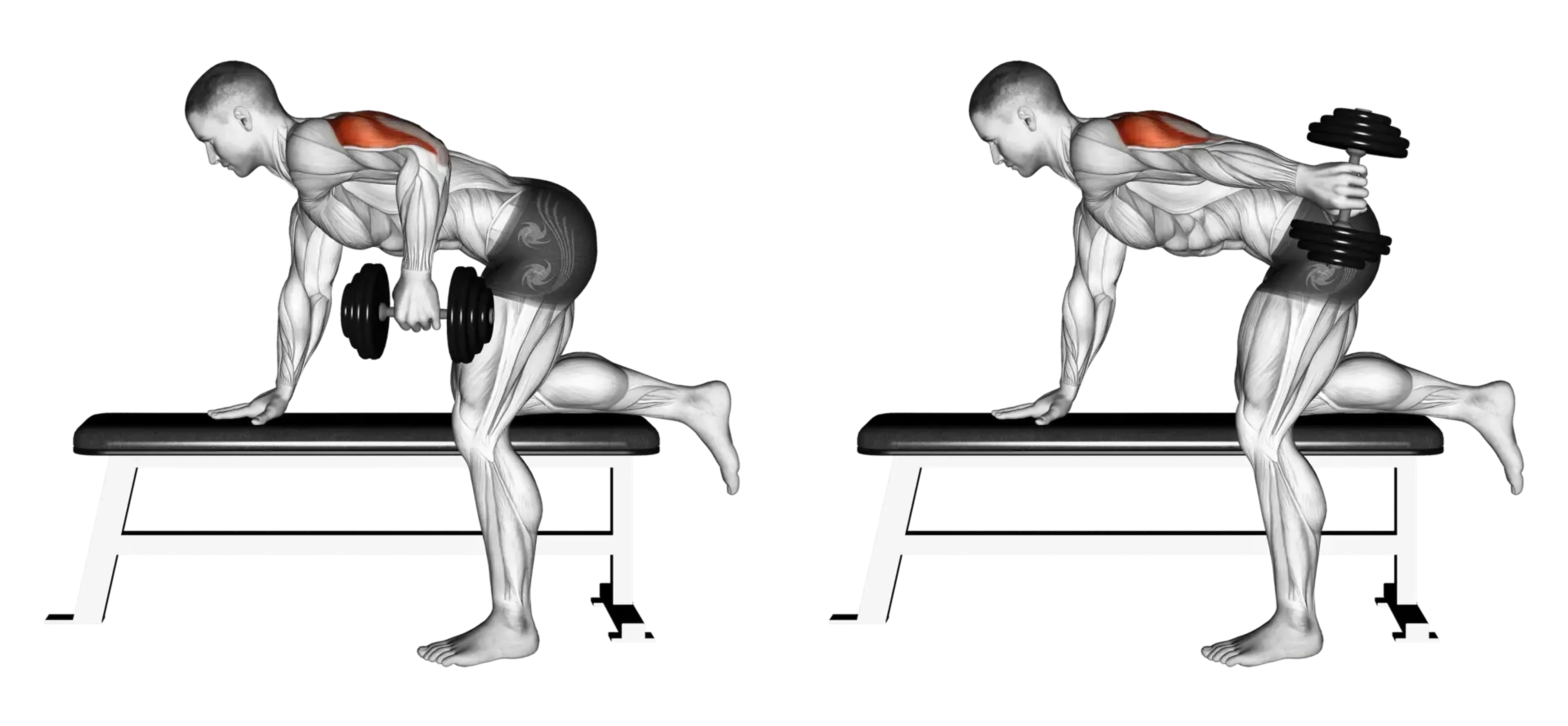 Dumbbell Single-Arm Triceps Kickback
