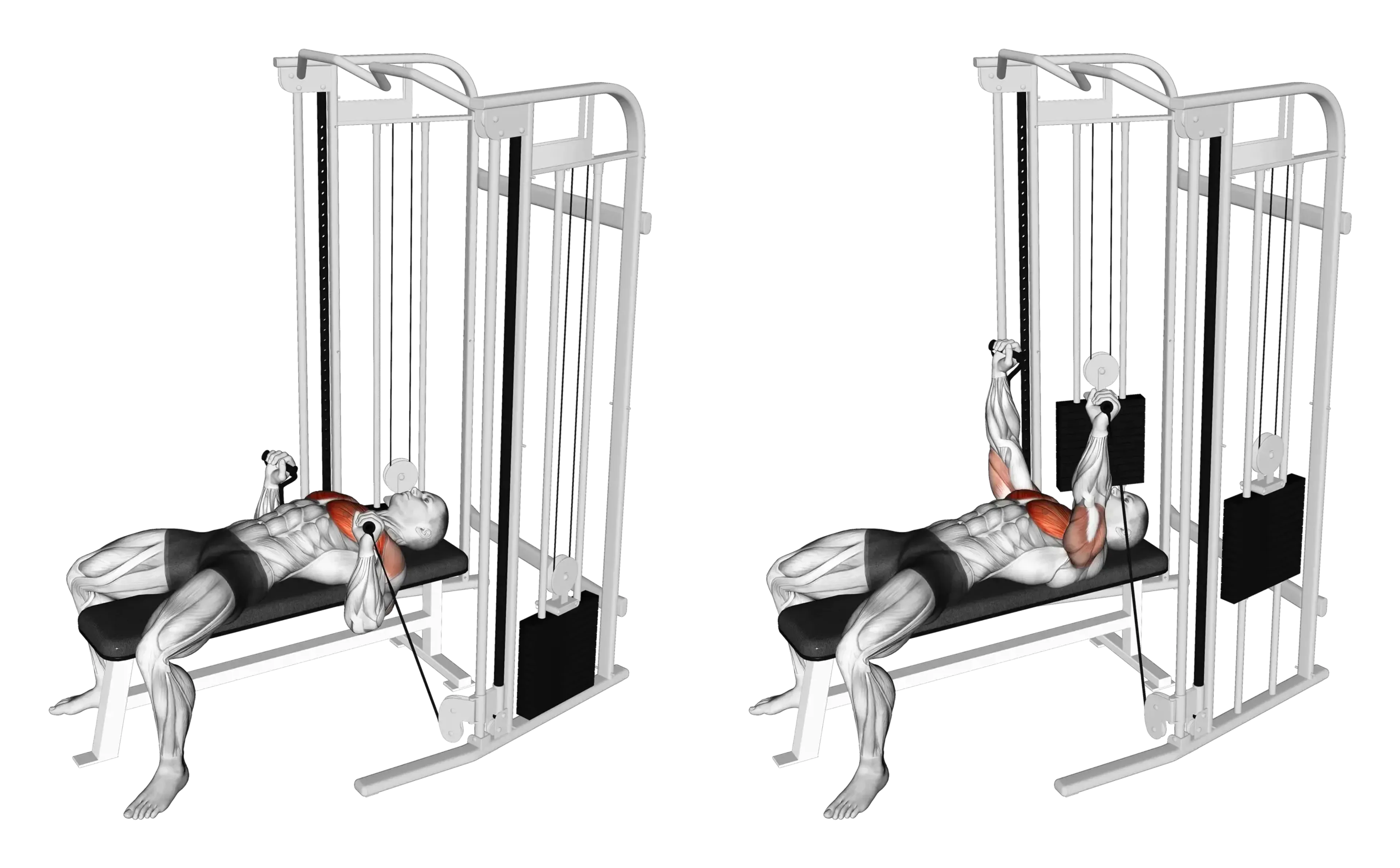 Cable Bench Press
