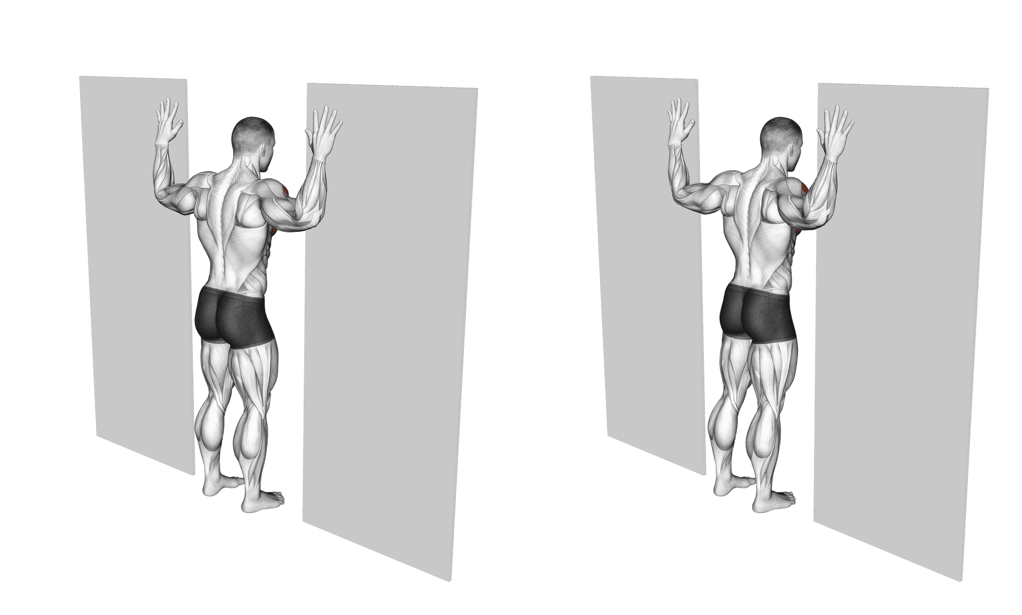 Doorway Chest Stretch: Guide, Muscles Worked, Tips | Athlemove