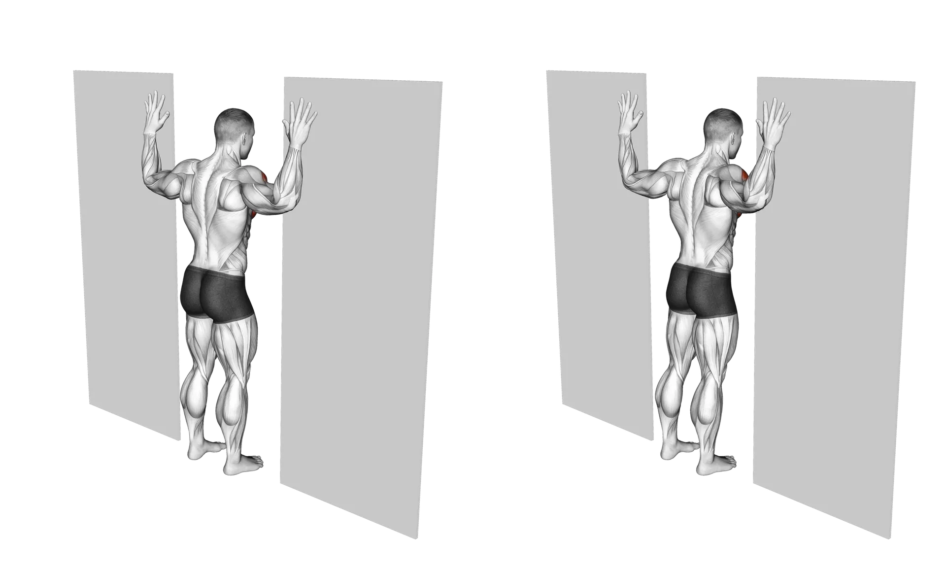 Doorway Chest Stretch Guide Muscles Worked Tips Athlemove Doorway Chest Stretch Guide Muscles Worked Tips Athlemove