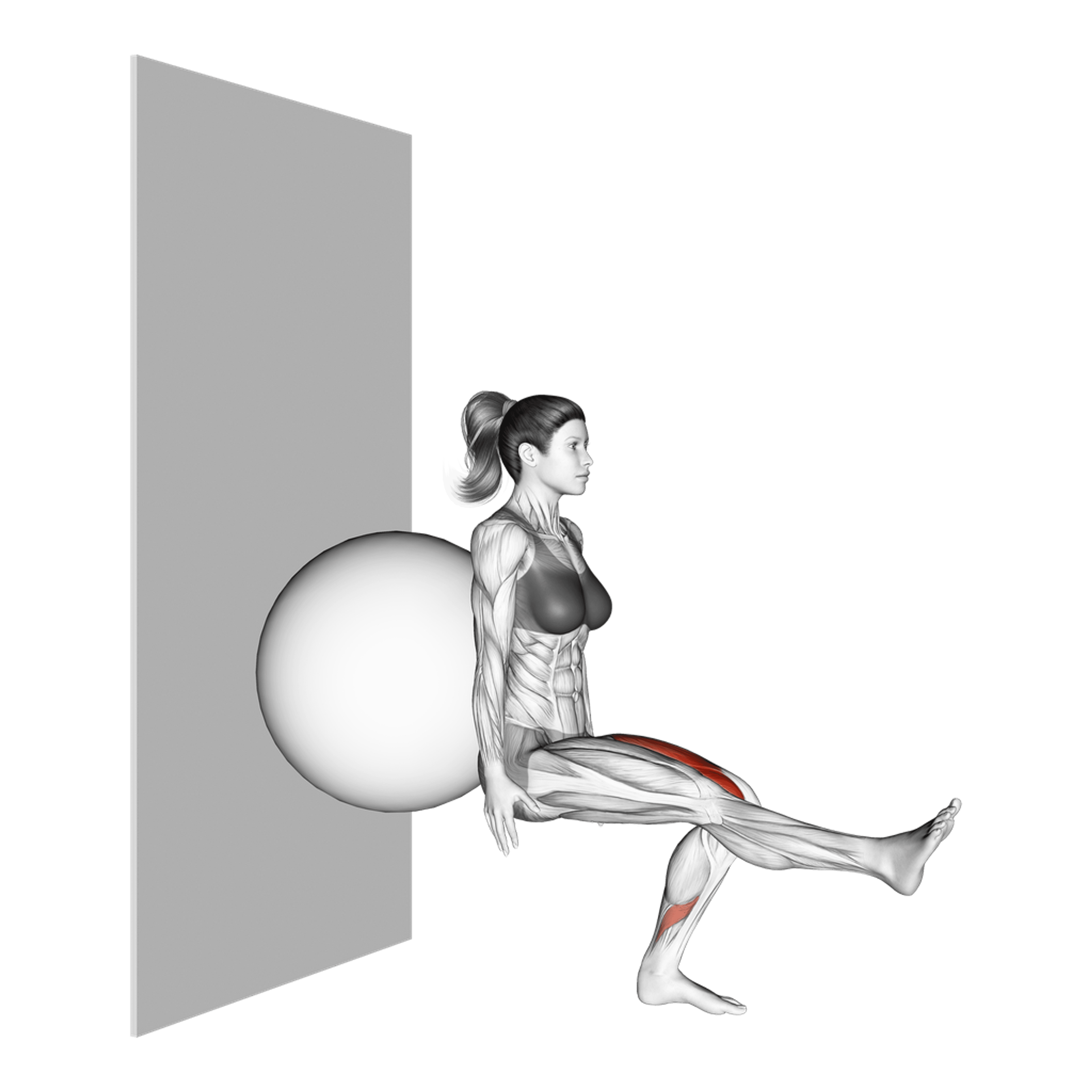 Exercise Ball Single-Leg Squat