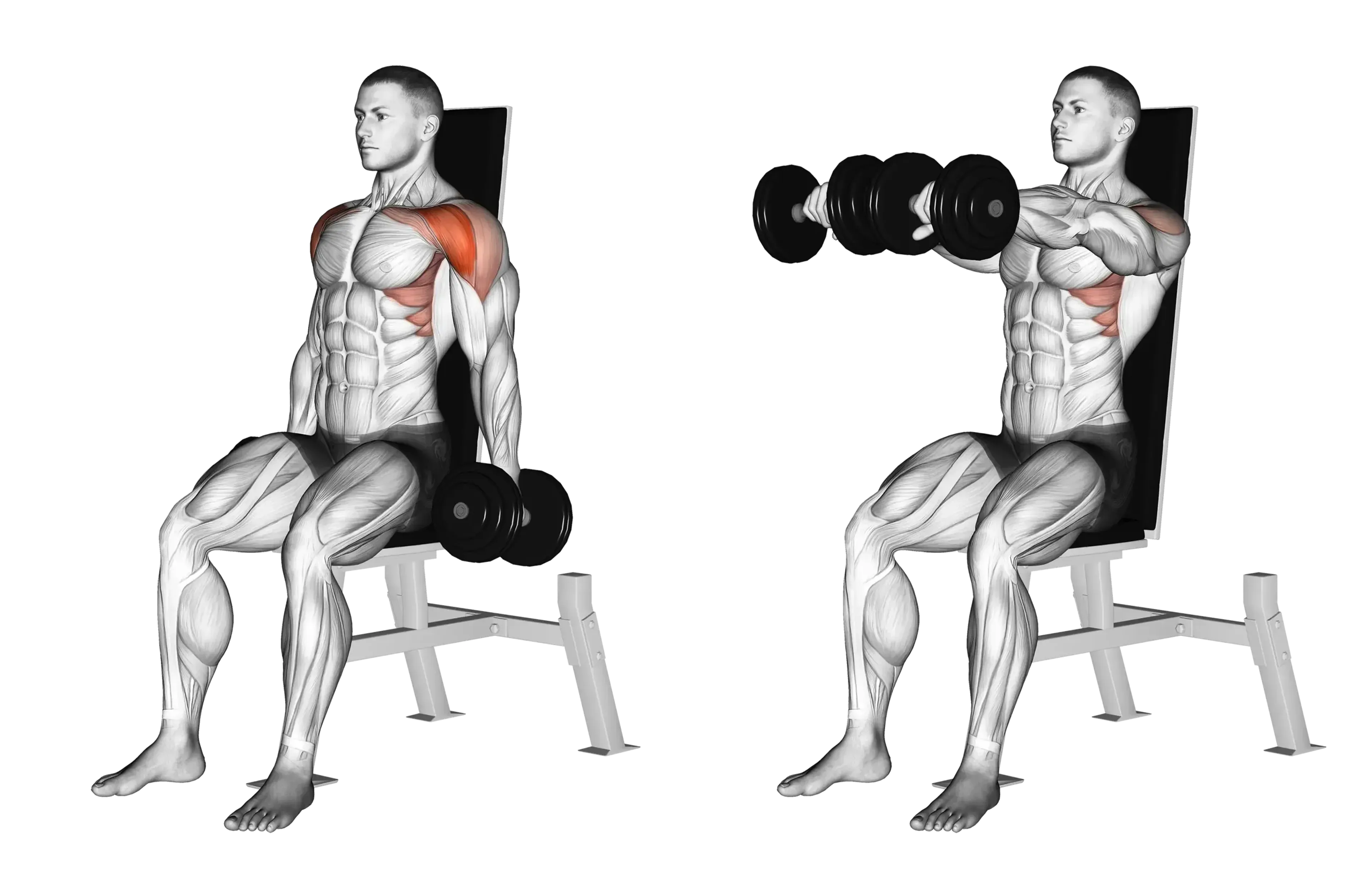 Dumbbell Seated Front Raise