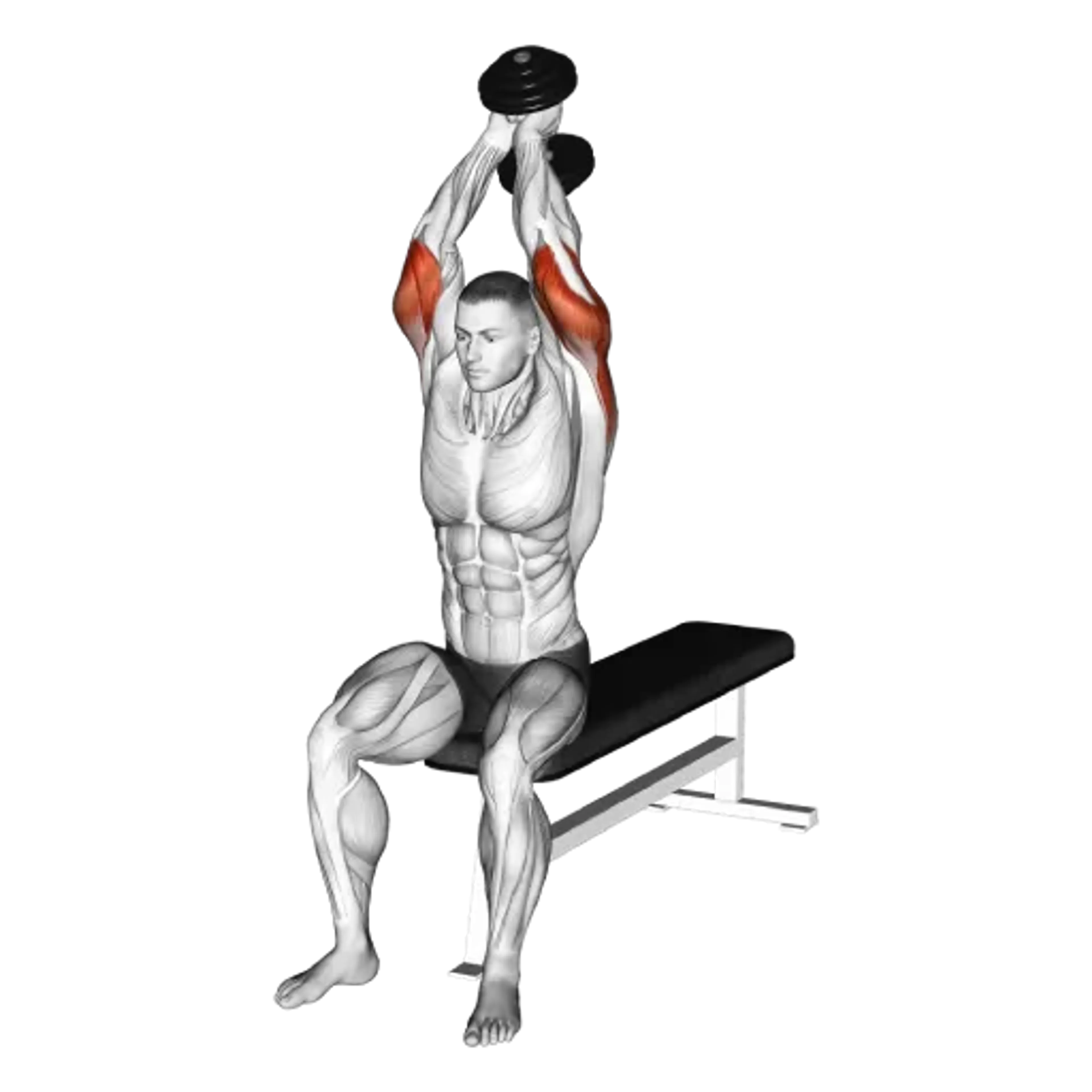 Dumbbell Seated Triceps Extension