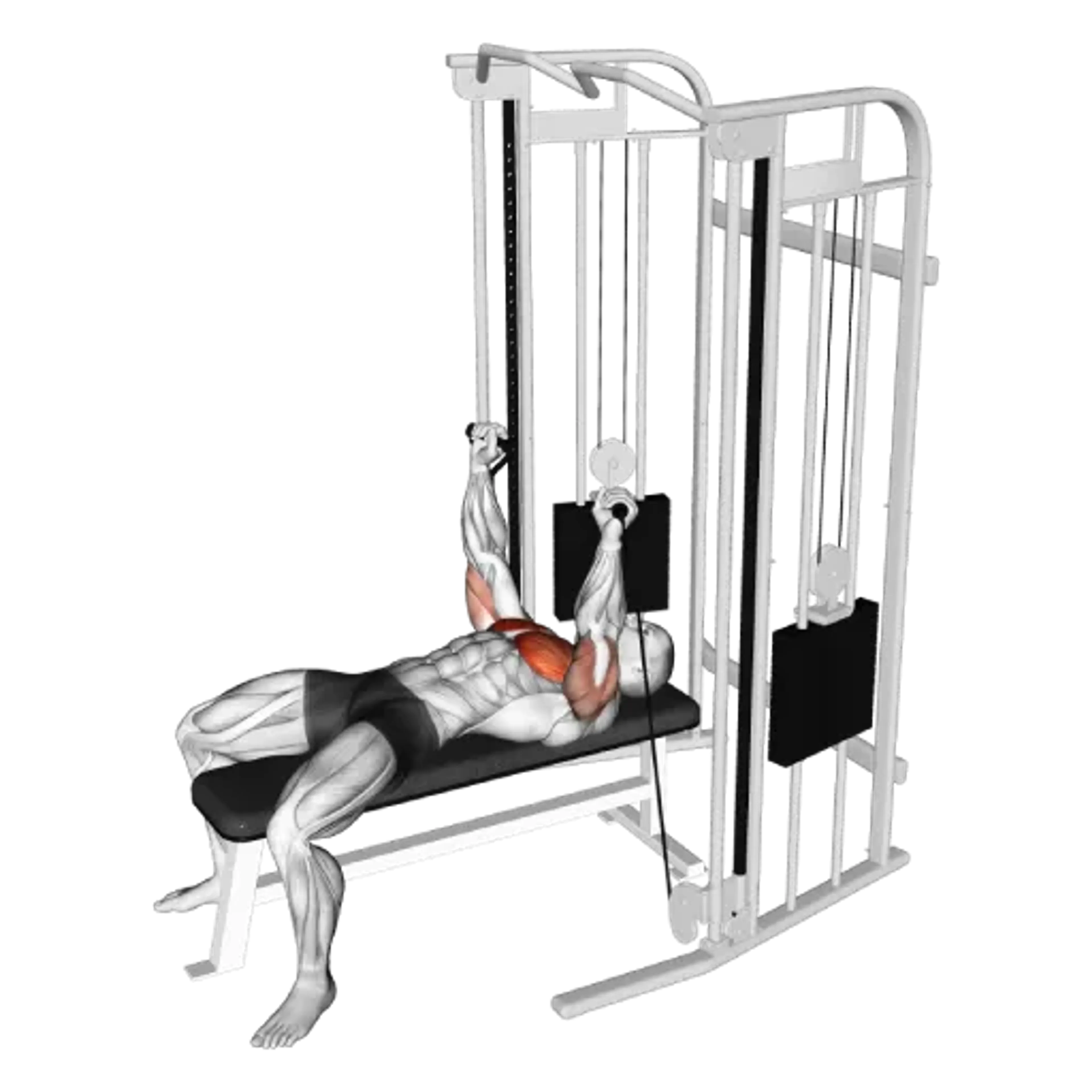 Cable Bench Press