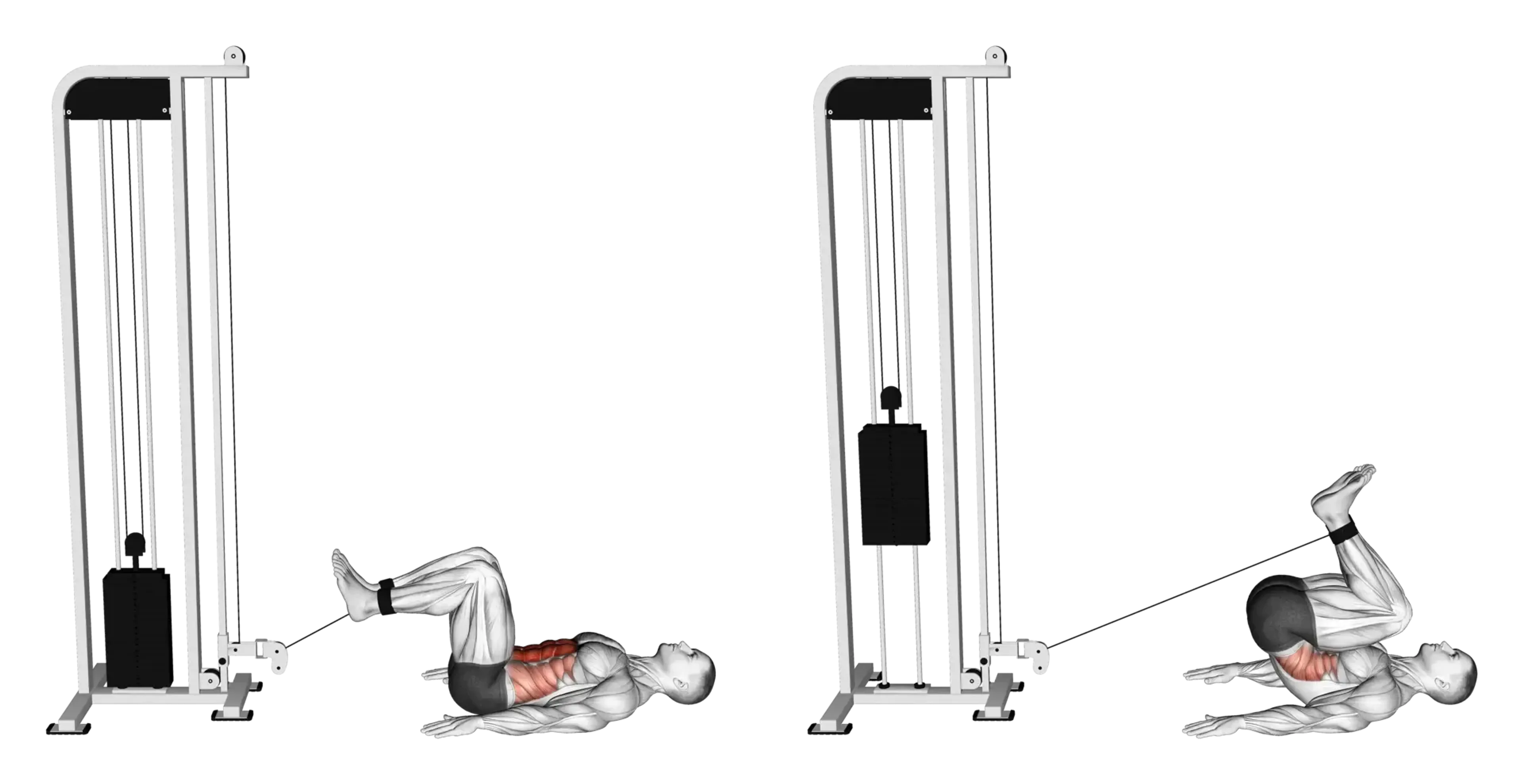 Cable Reverse Crunch