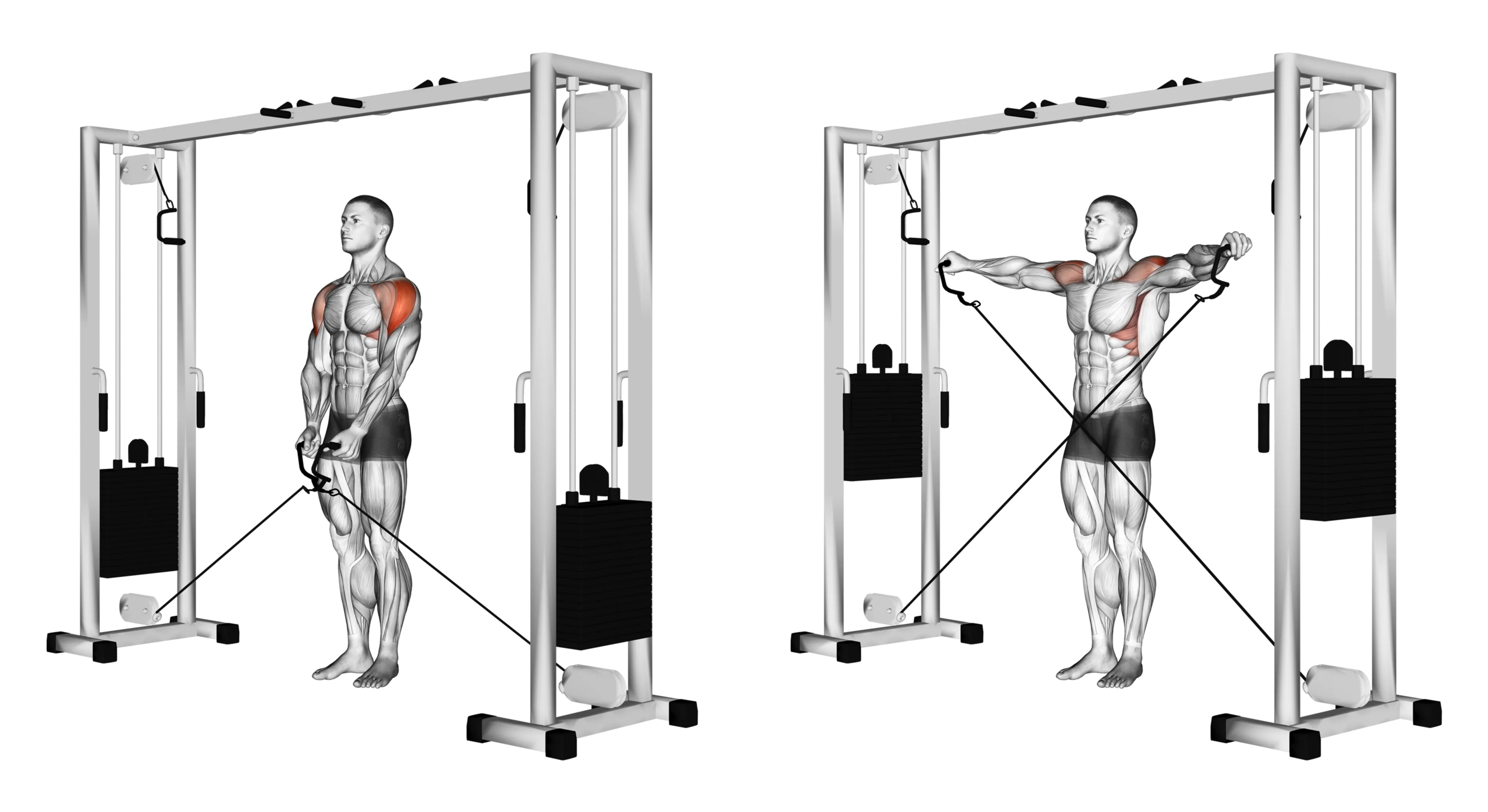 Cable Lateral Raise