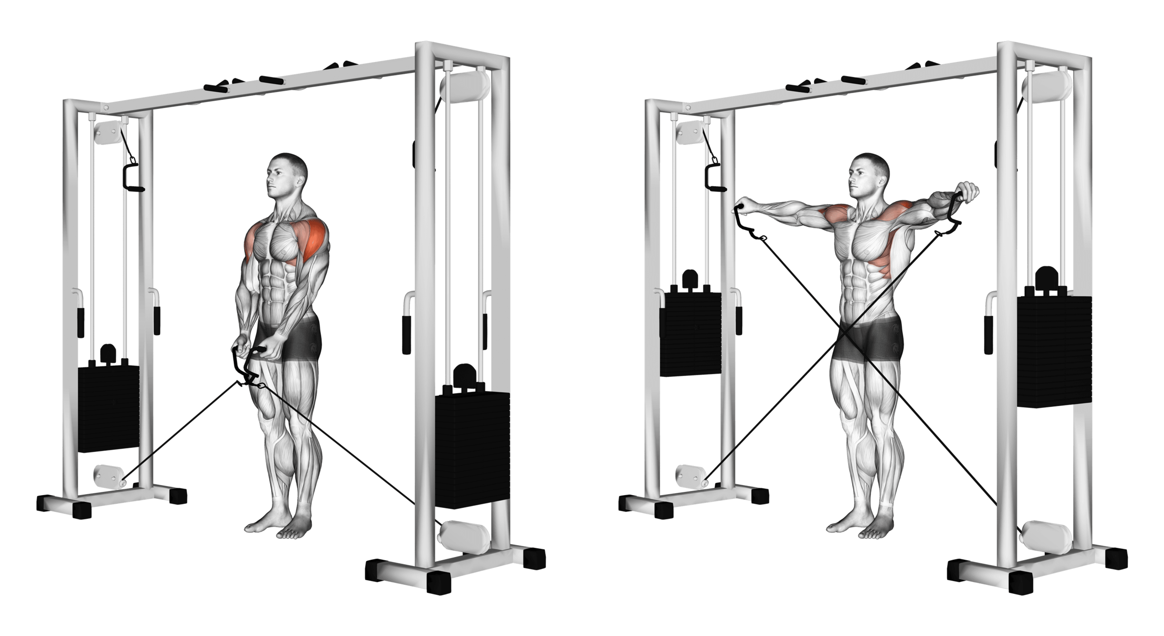 Cable Lateral Raise