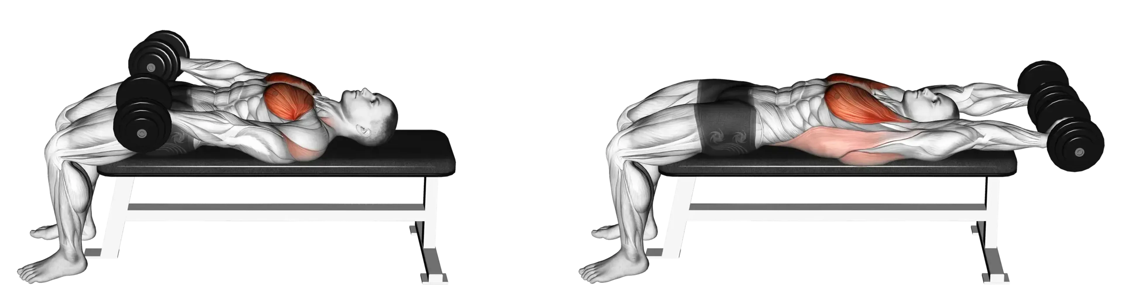 Dumbbell Around the World Pullover