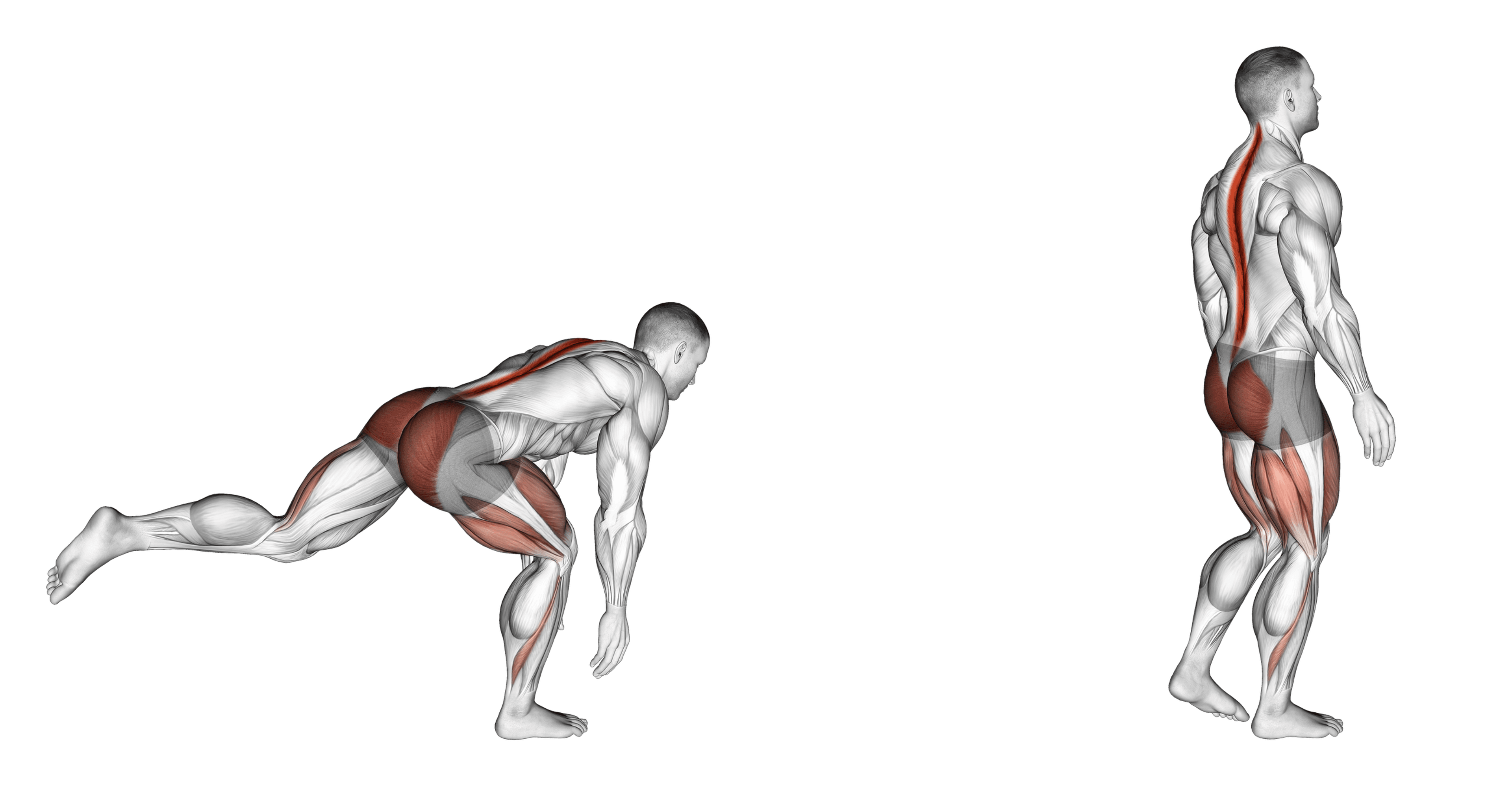 Bodyweight Single-Leg Deadlift