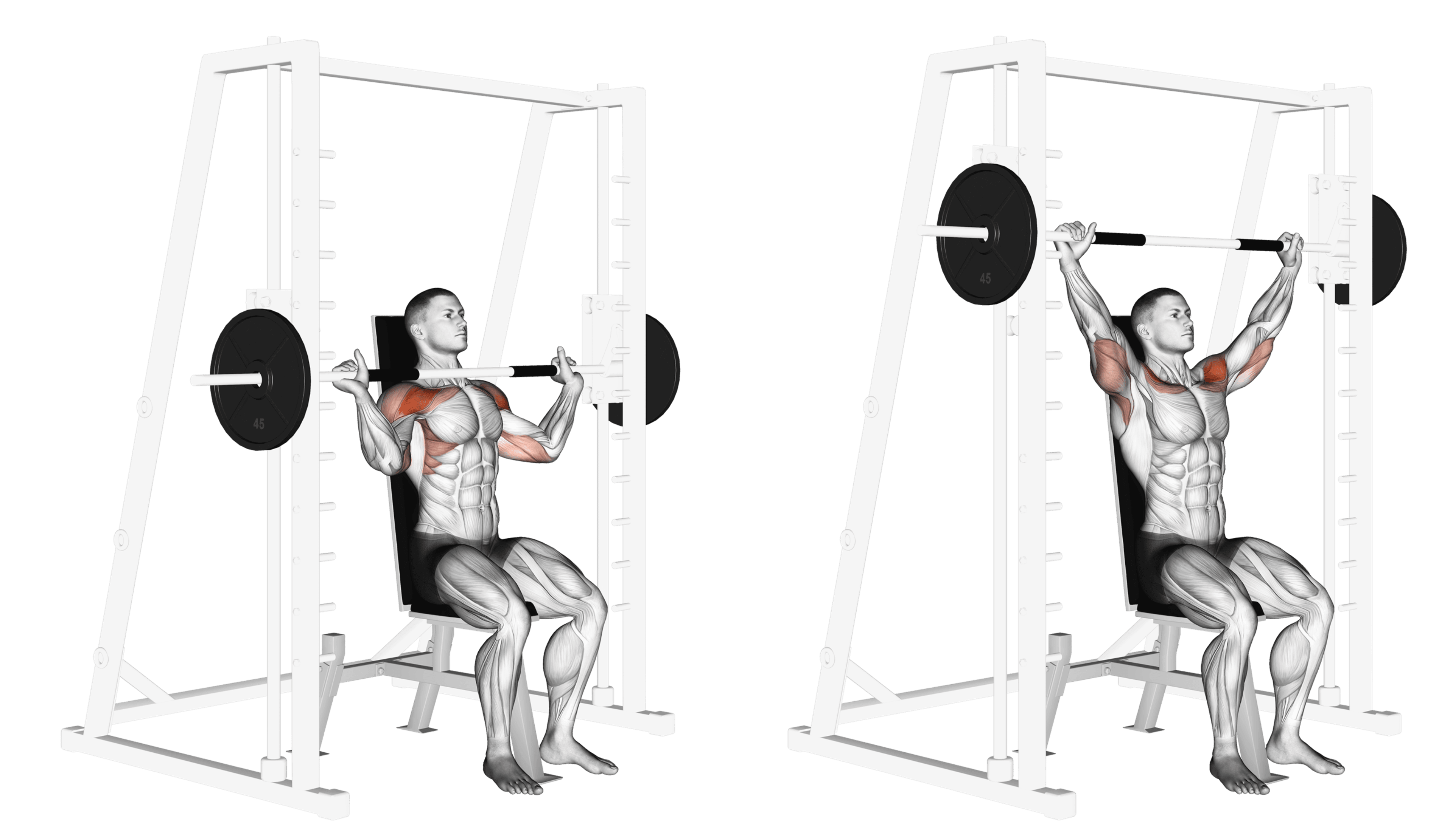 Smith Machine Shoulder Press