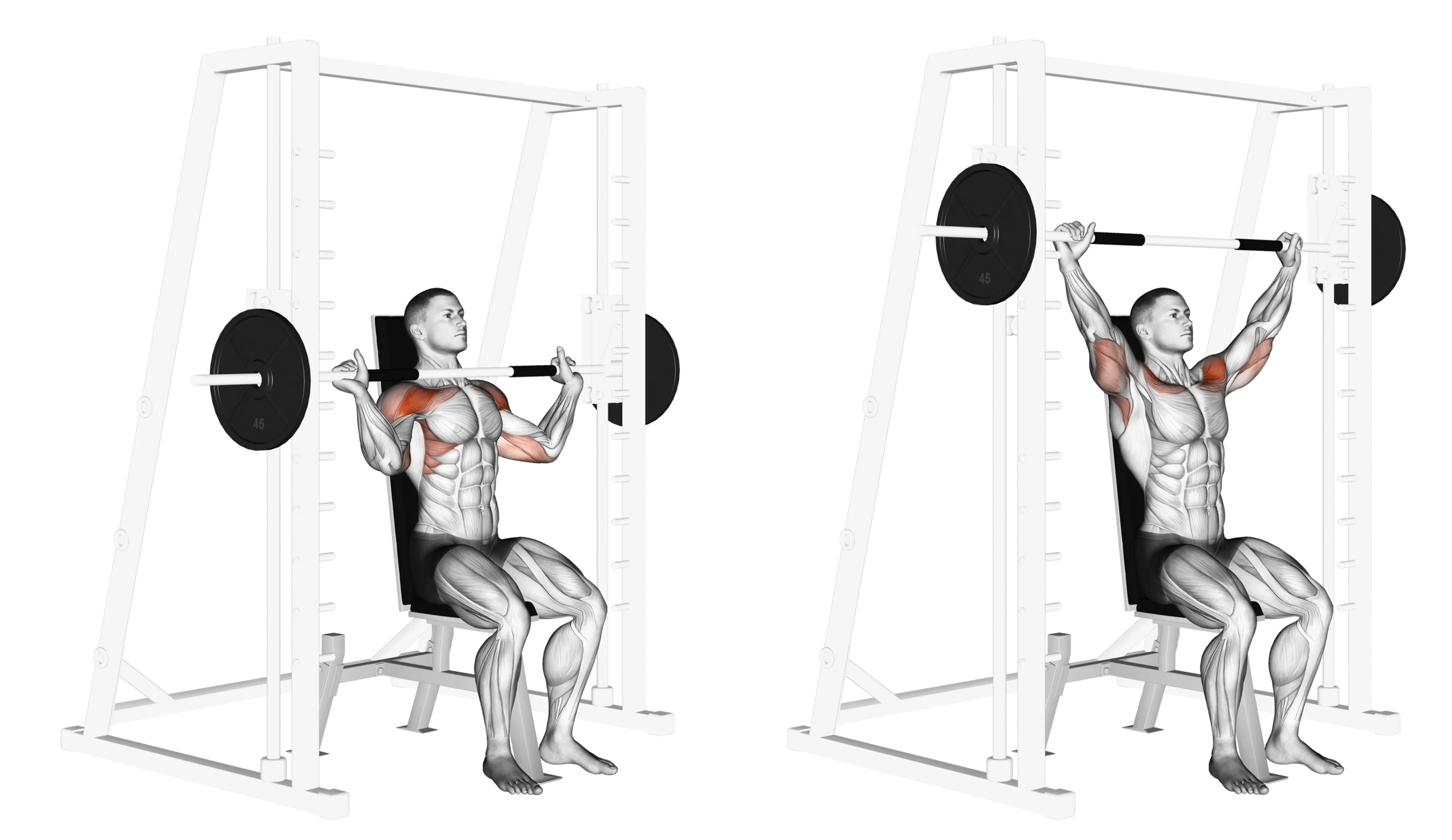 Smith Machine Shoulder Press