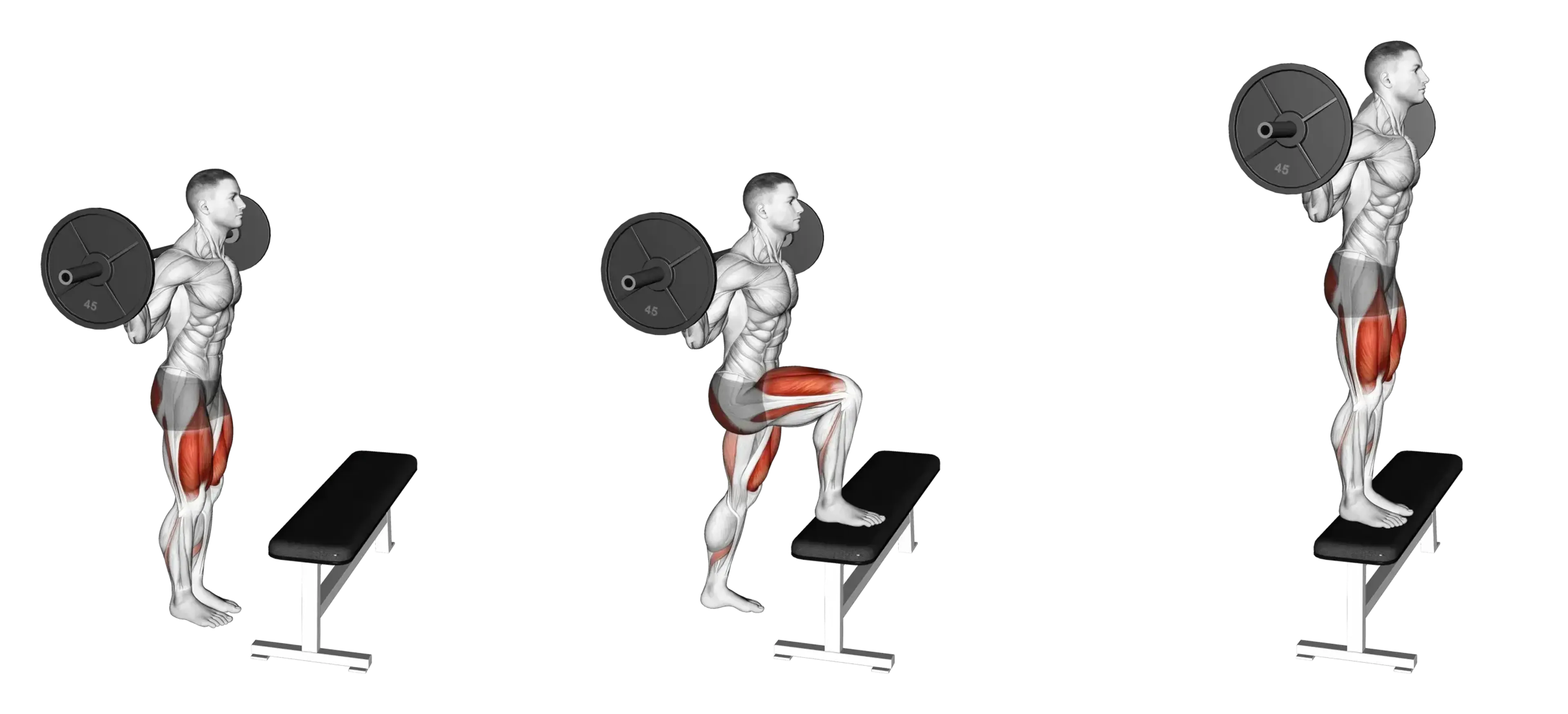Barbell Step-Up