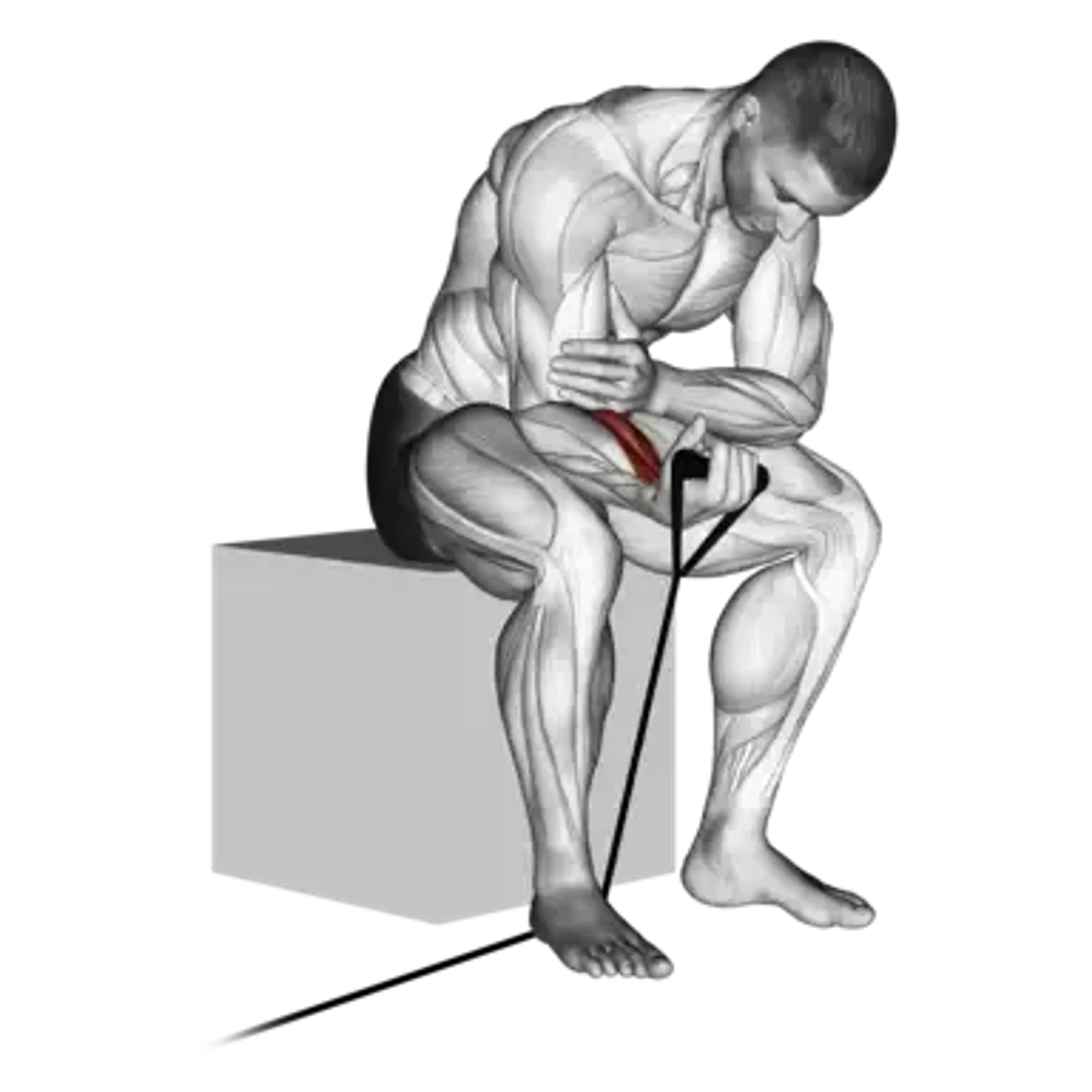 Band Palms-Up Wrist Curl