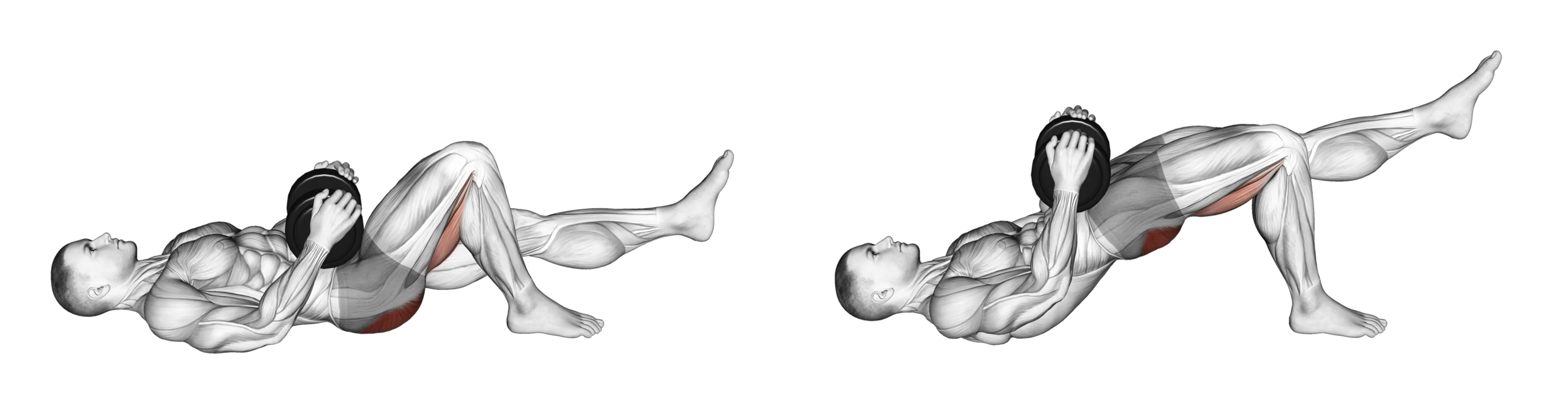 Dumbbell Single-Leg Glute Bridge