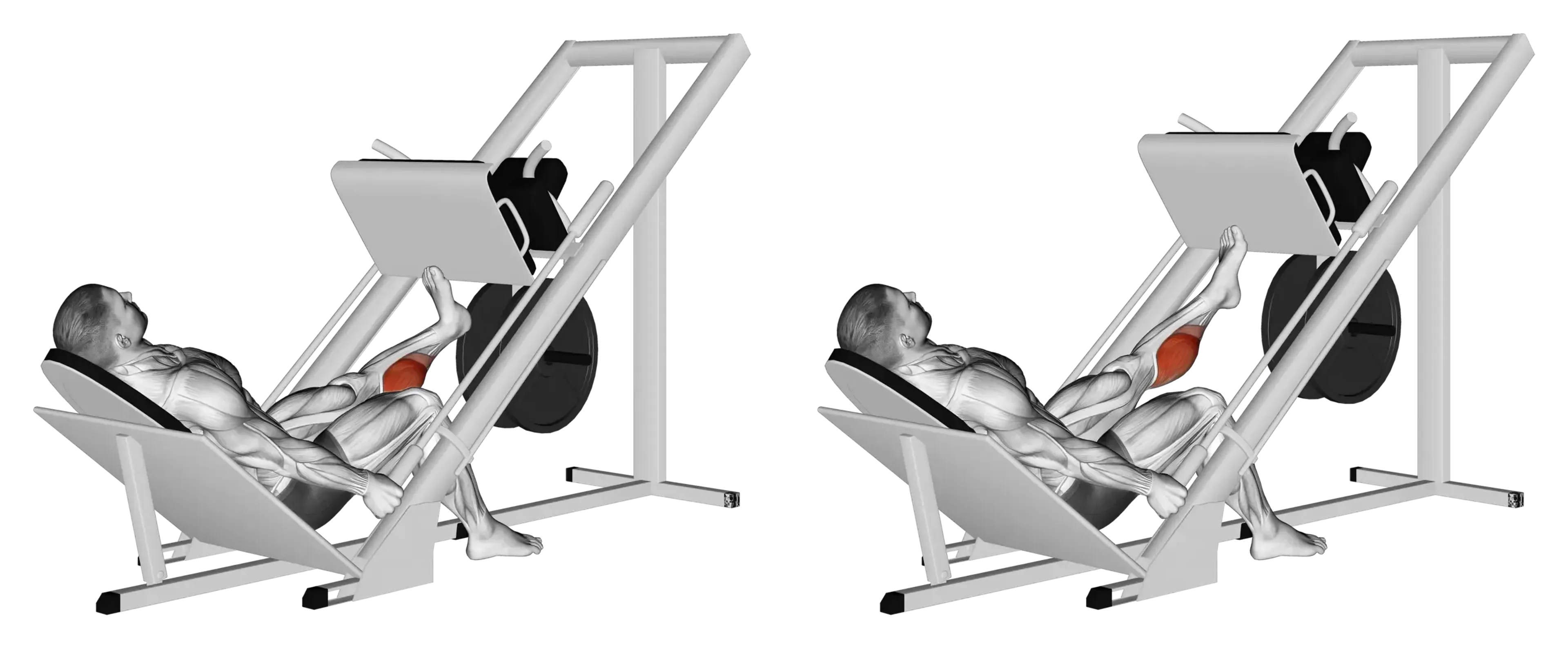 Leg Press Single-leg Calf Raise