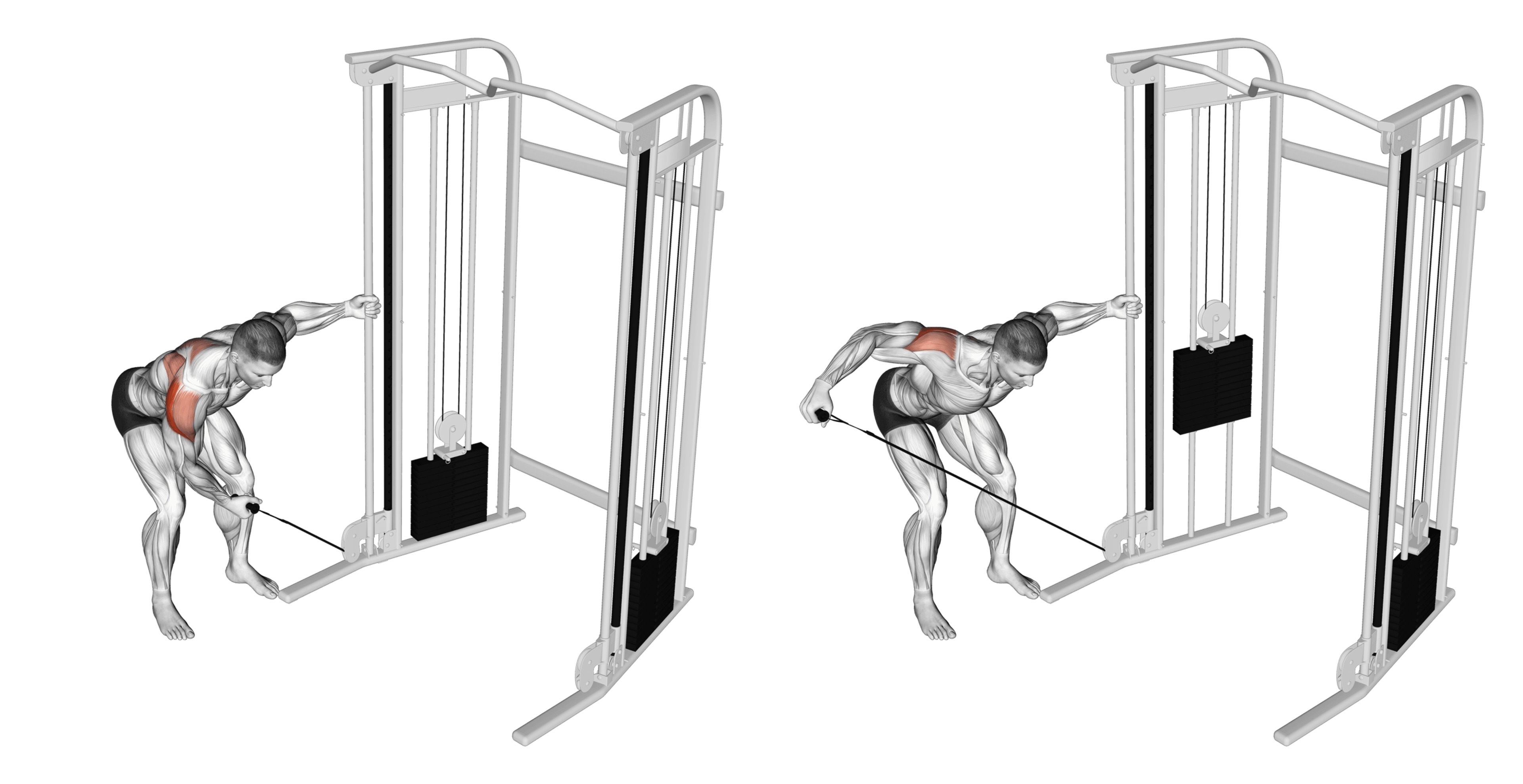 Cable Single-Arm Reverse Fly