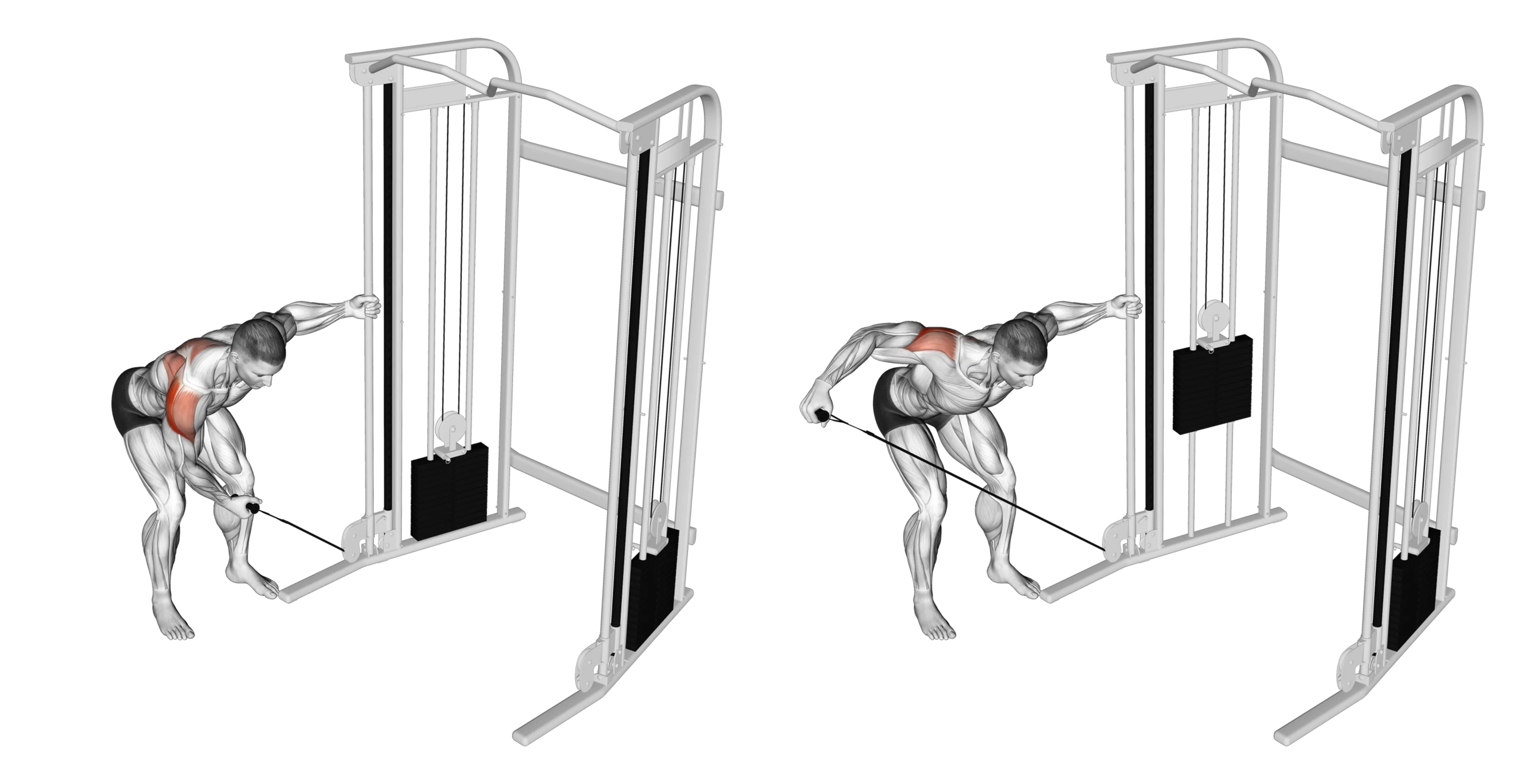 Cable Single-Arm Reverse Fly