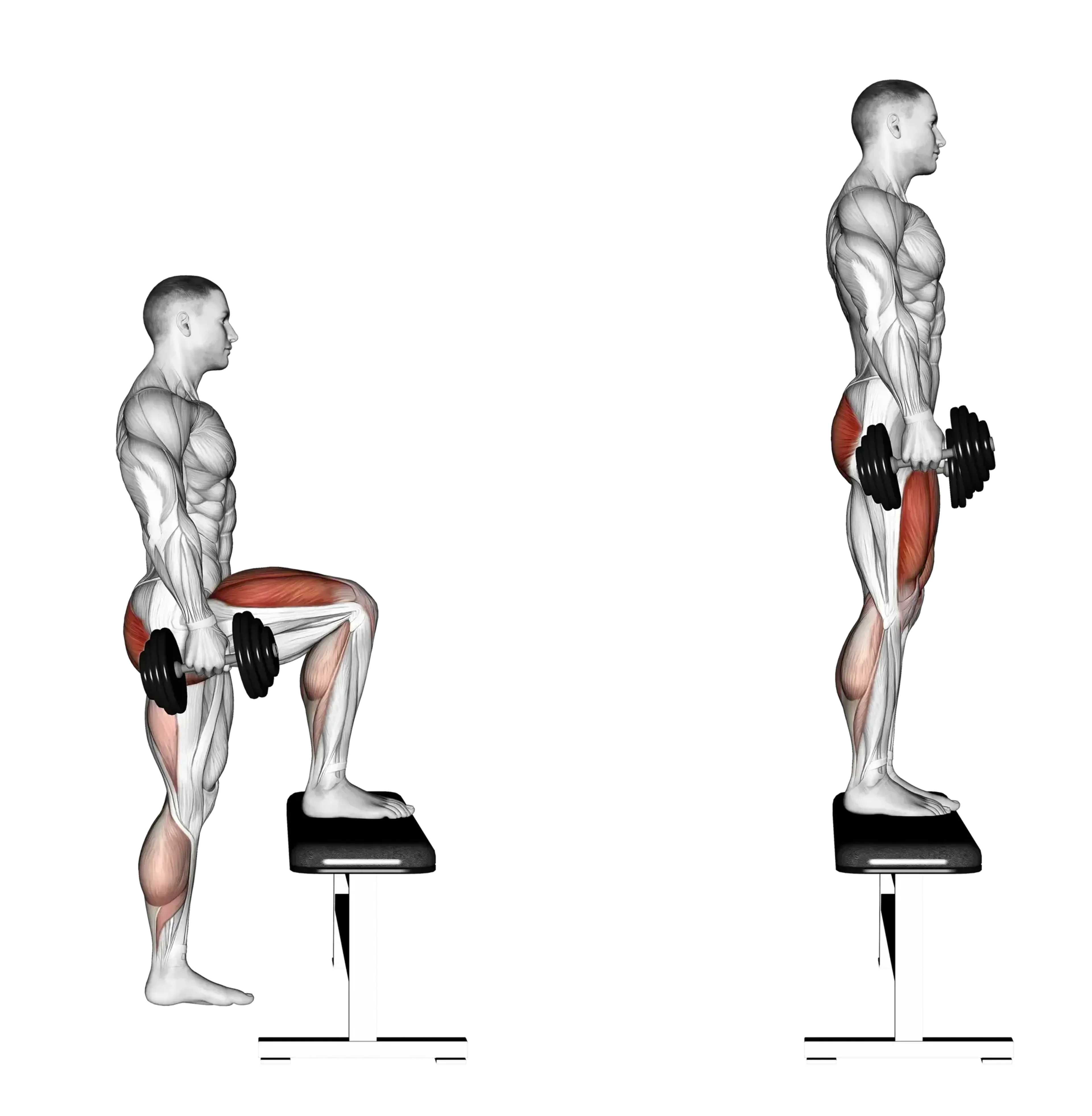 Dumbbell Step-Up