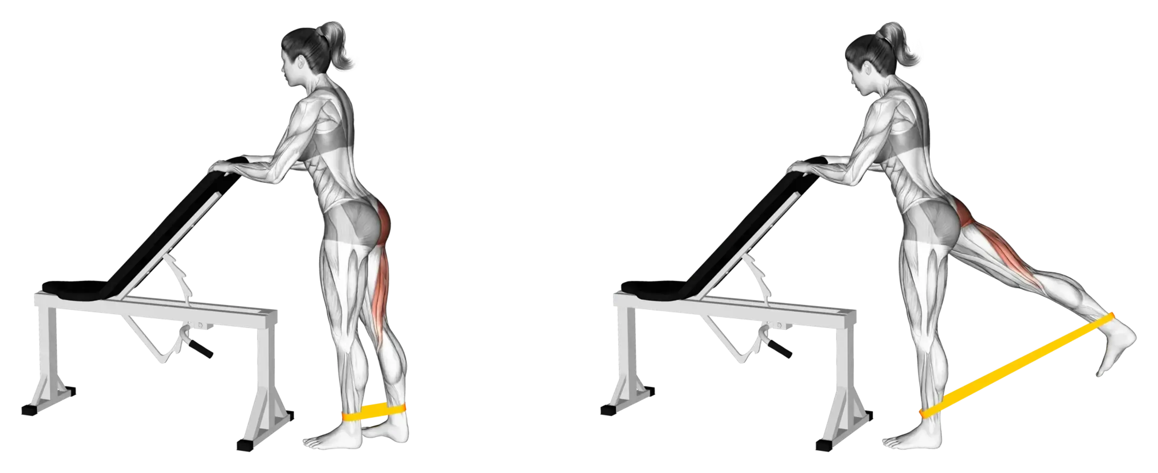 Band Single-Leg Kickback