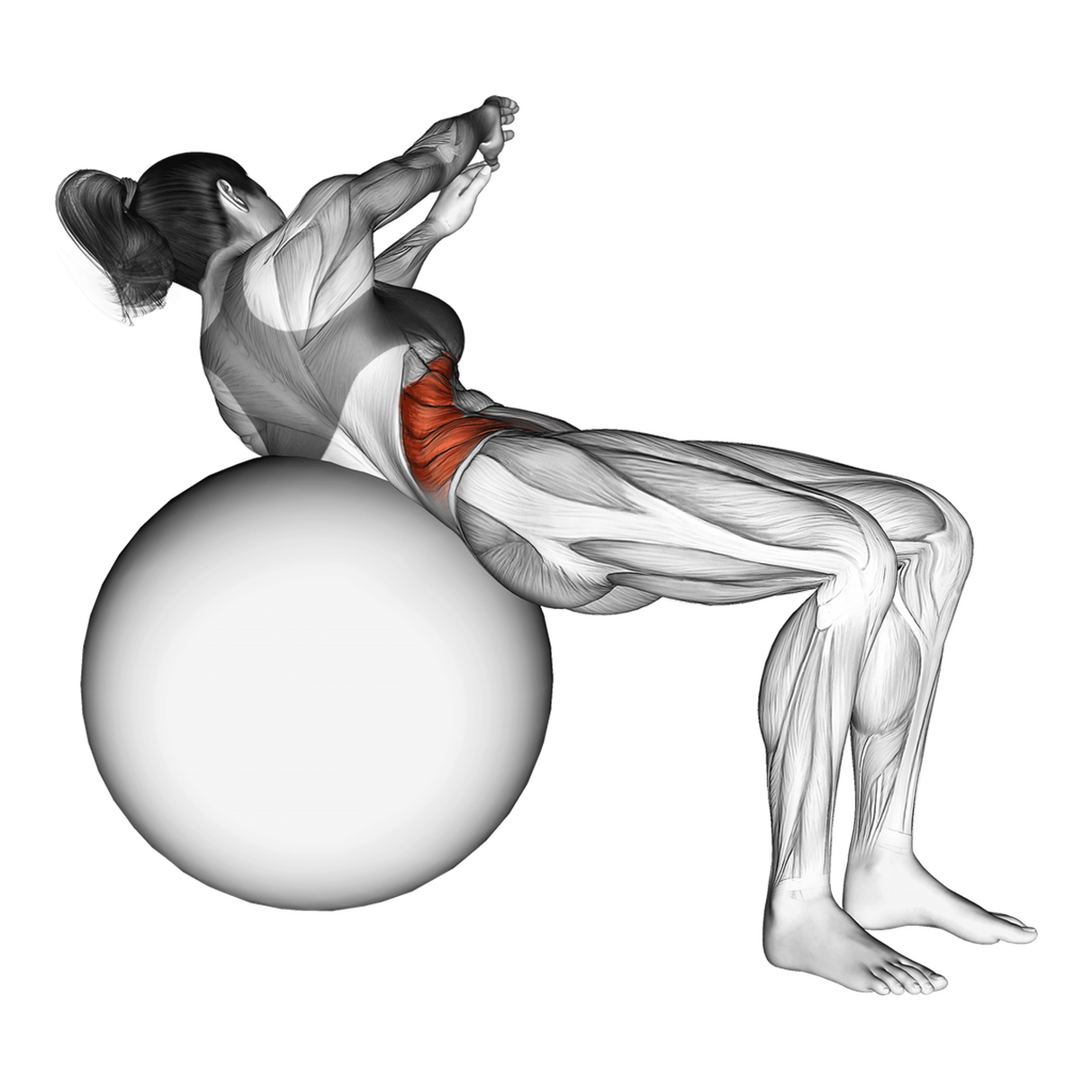 Exercise Ball Russian Twist