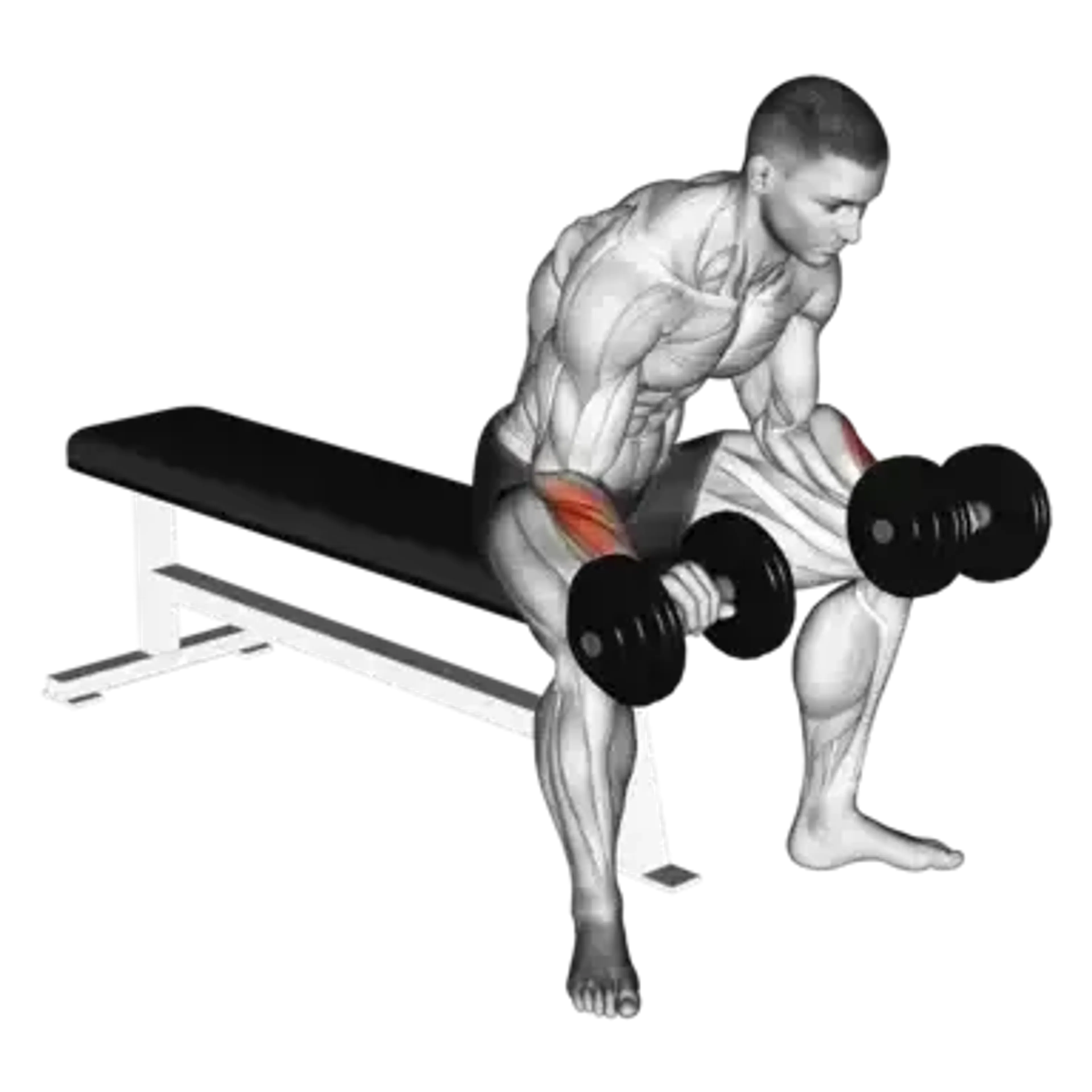 Dumbbell Palms-Down Wrist Curl