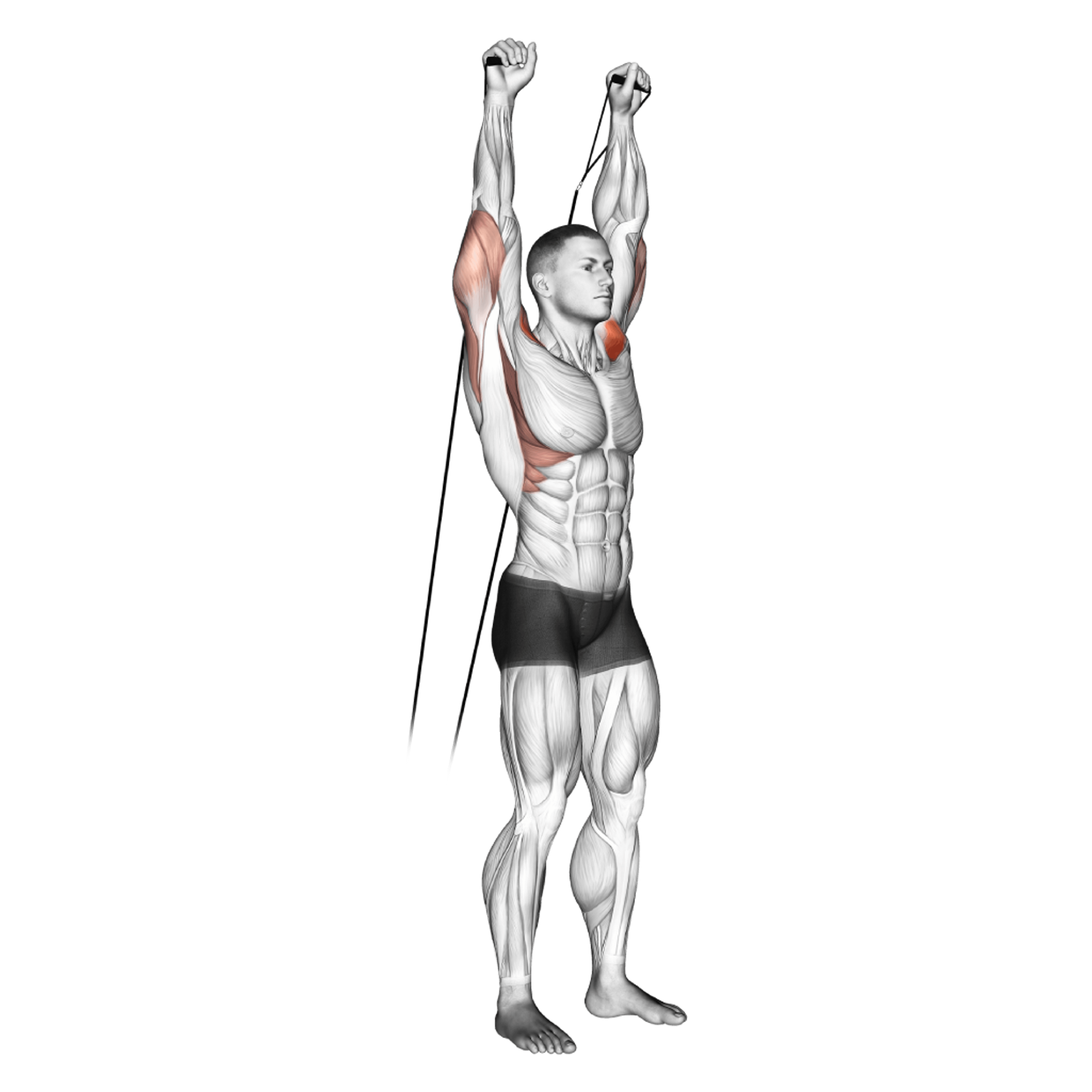 Cable Standing Shoulder Press