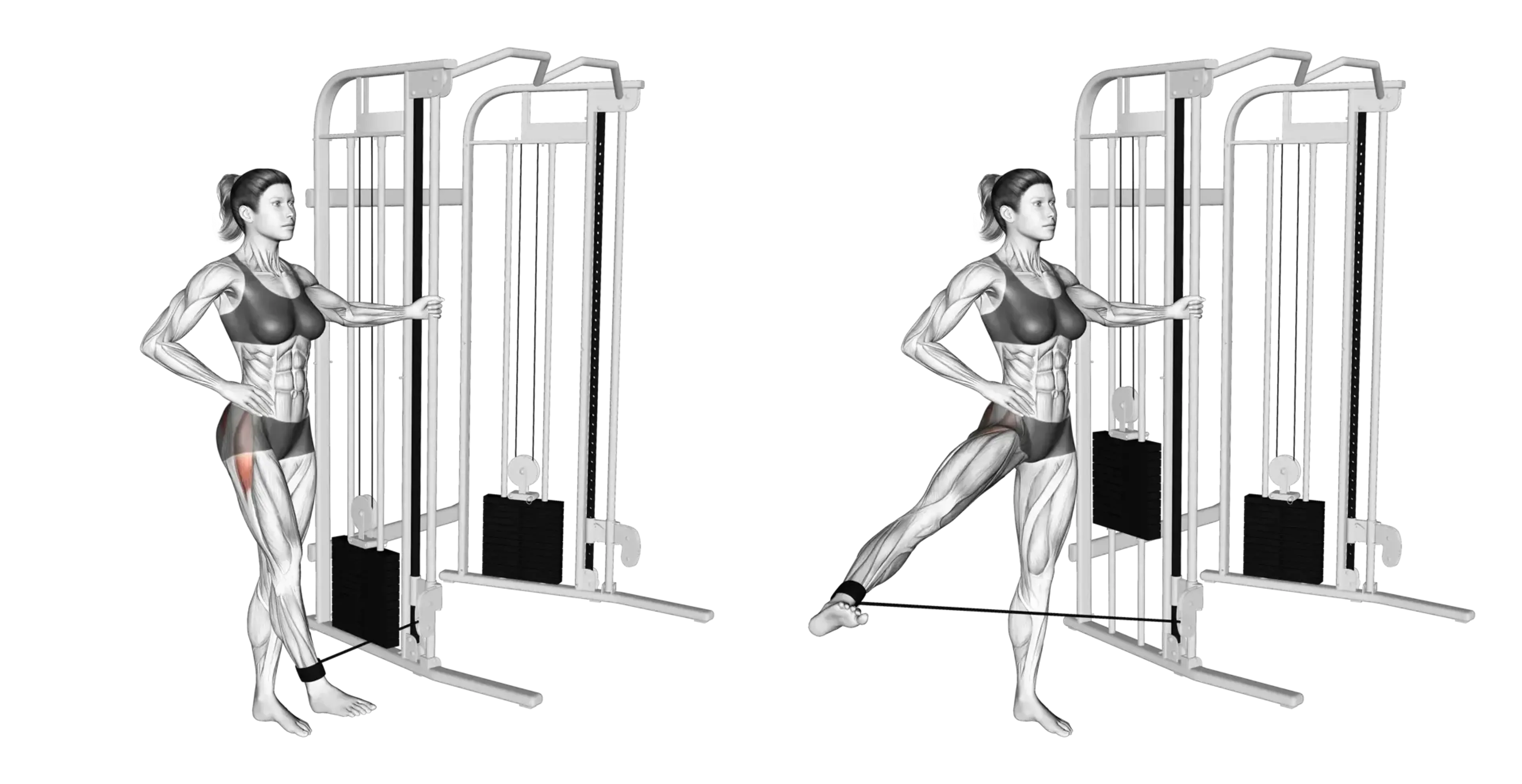 Cable Hip Abduction
