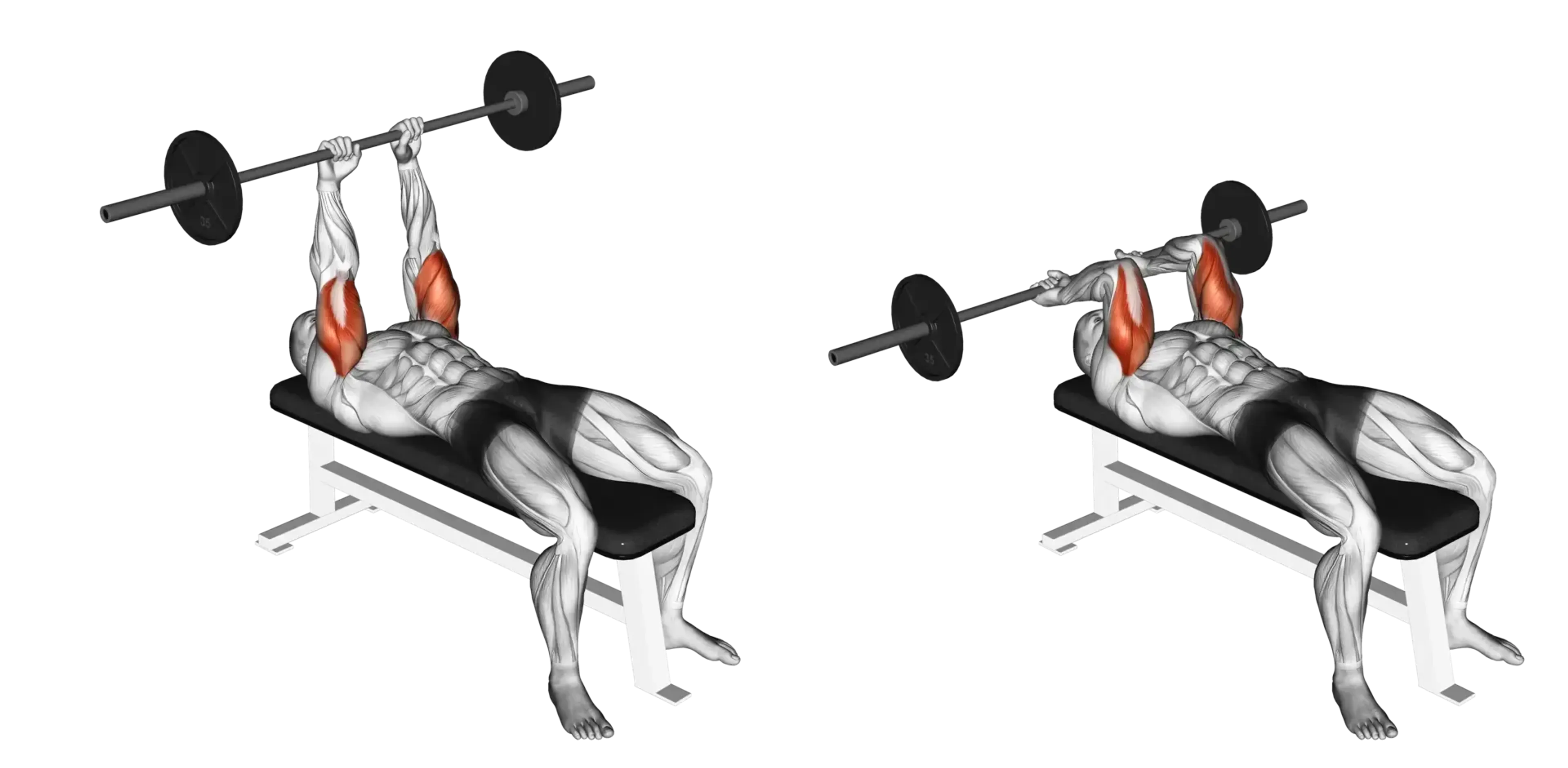 Barbell Lying Triceps Extension