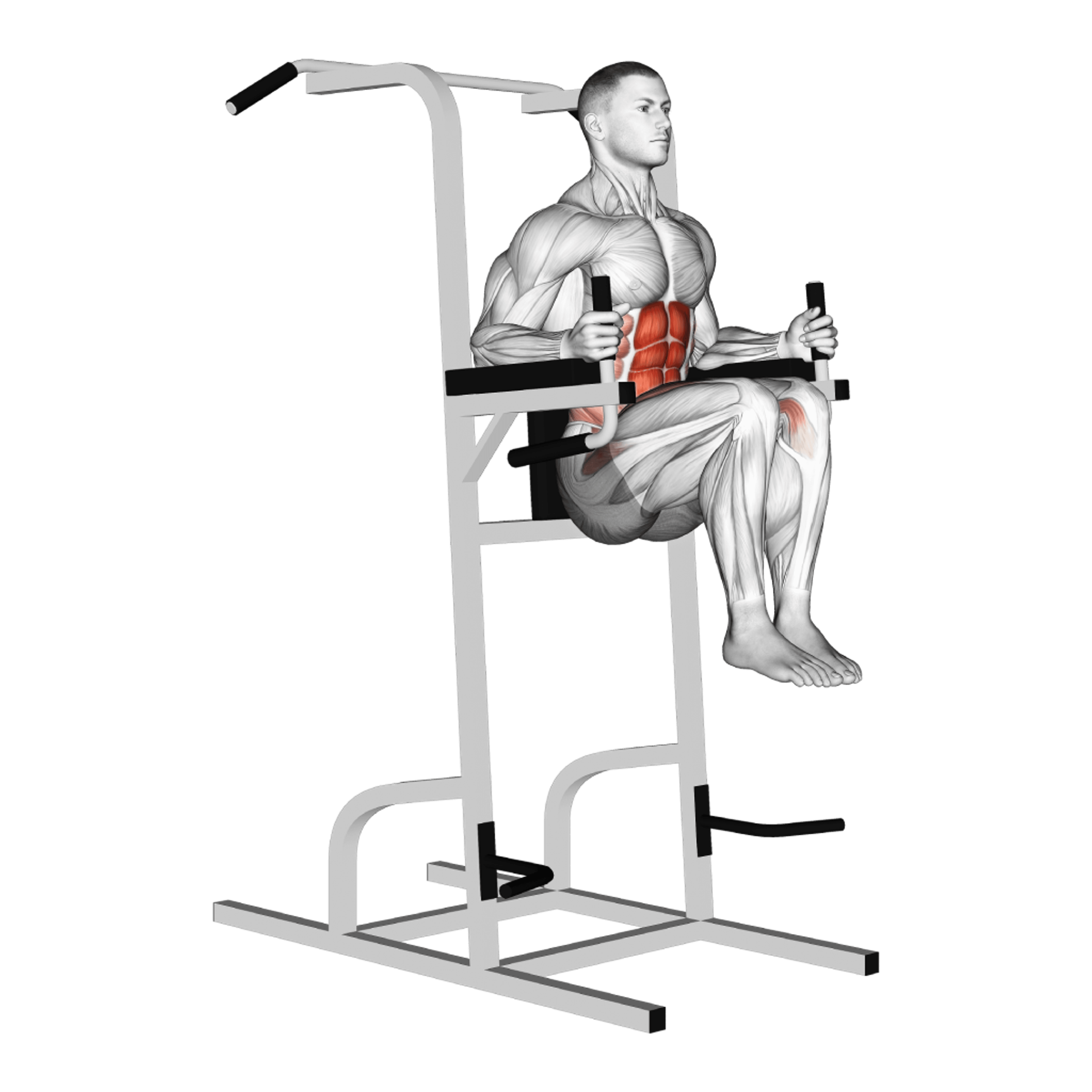 Parallel Bar Knee Raise