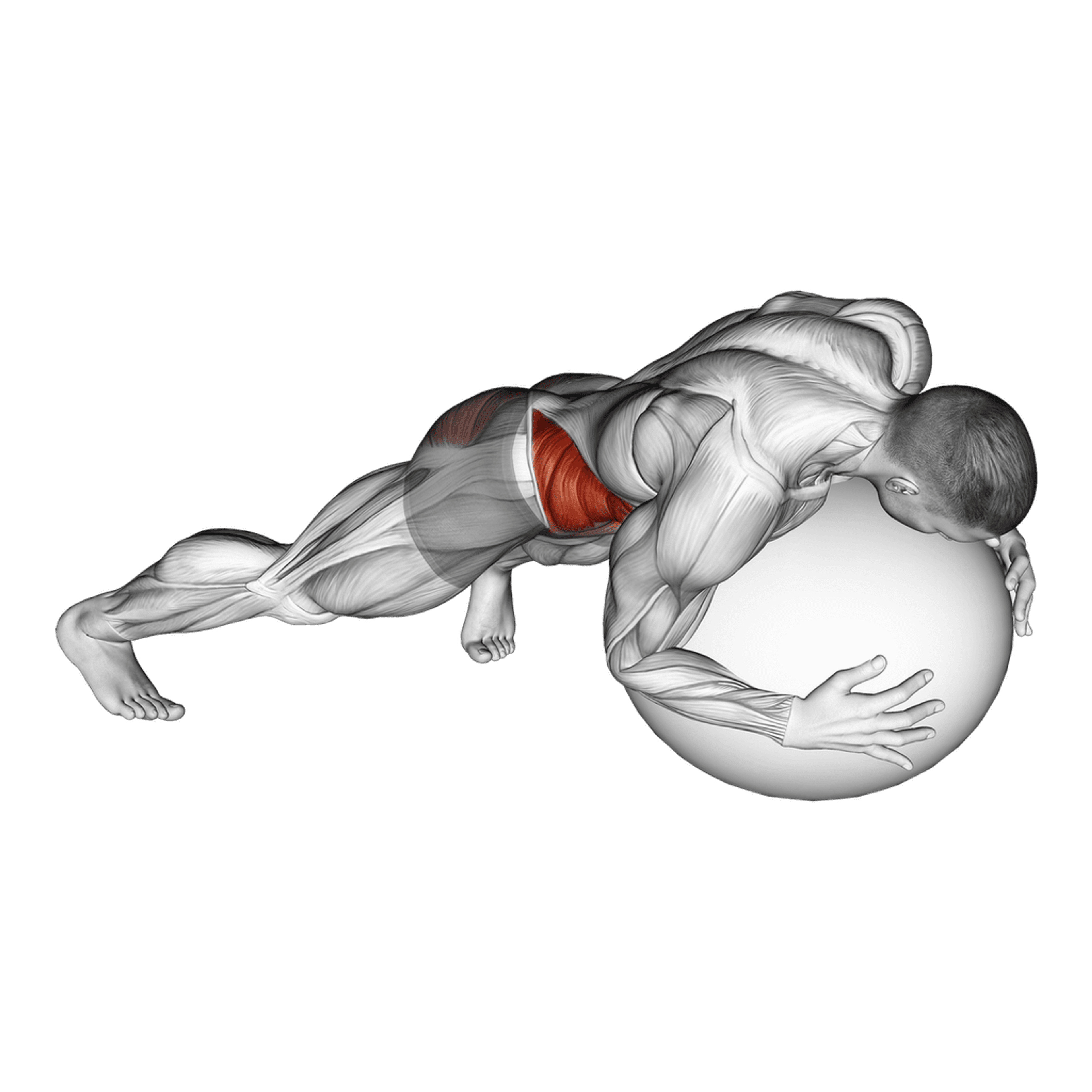 Exercise Ball Prone Twist