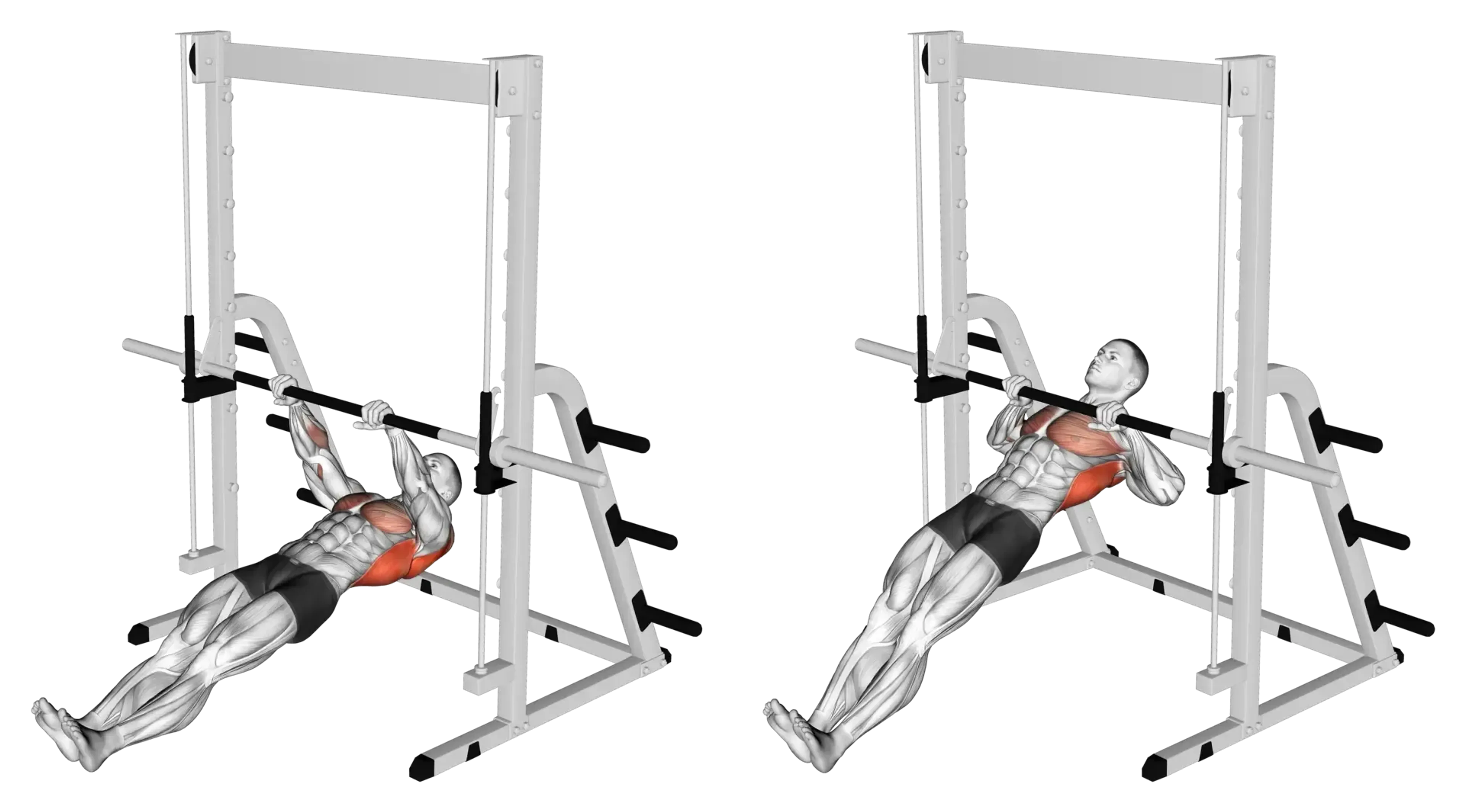 Barbell Inverted Row
