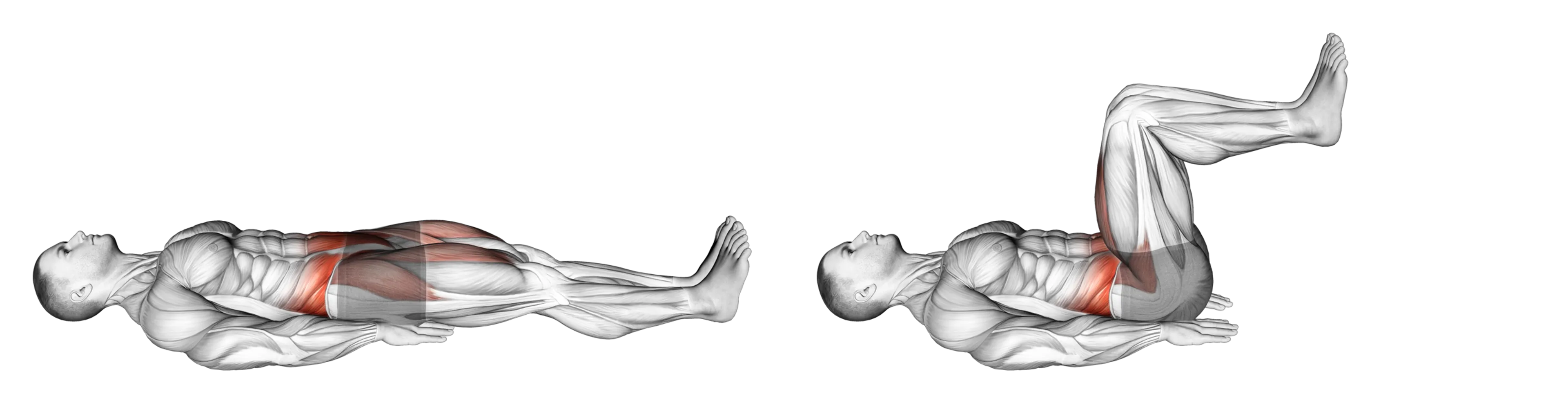 Lying Knee Raise