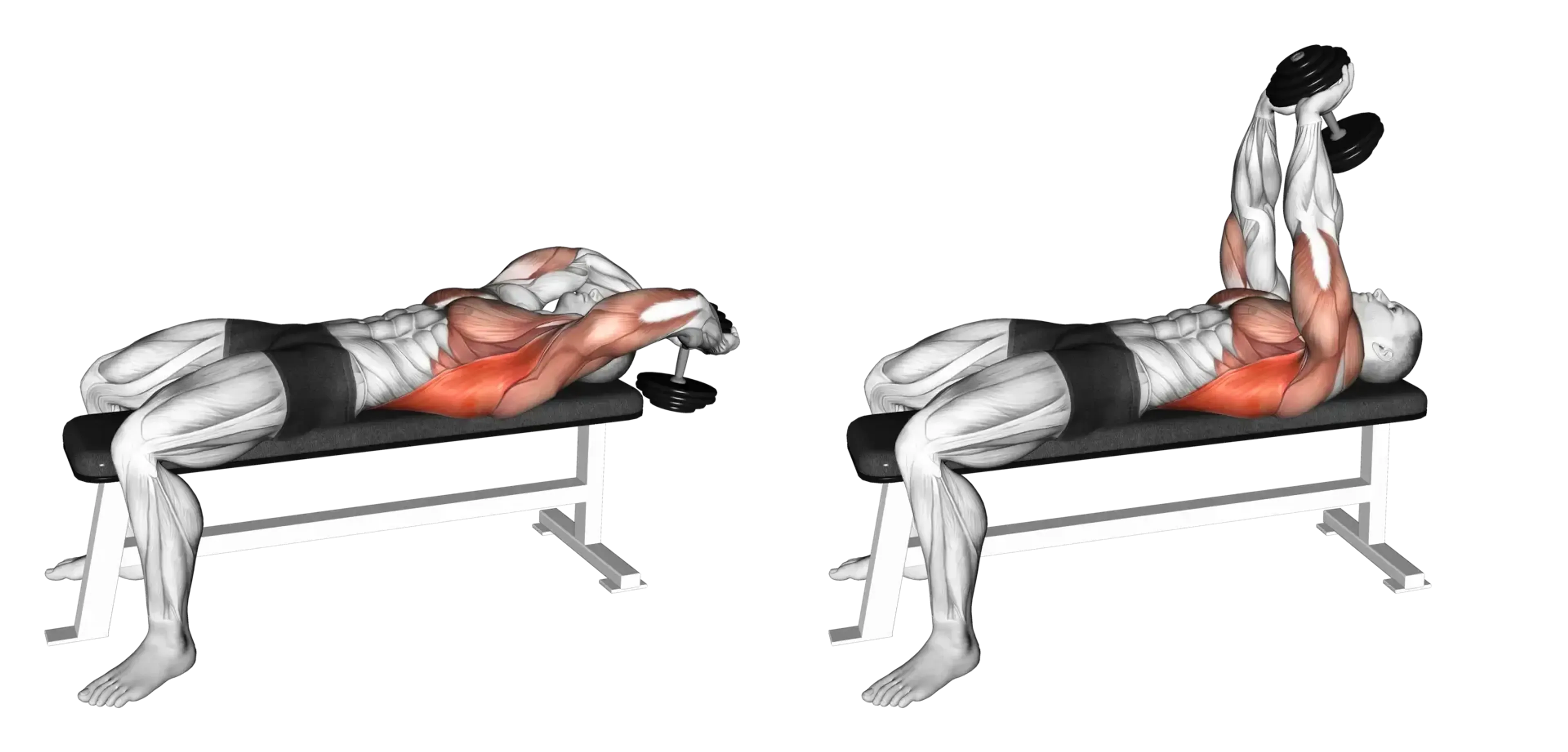 Dumbbell Pullover