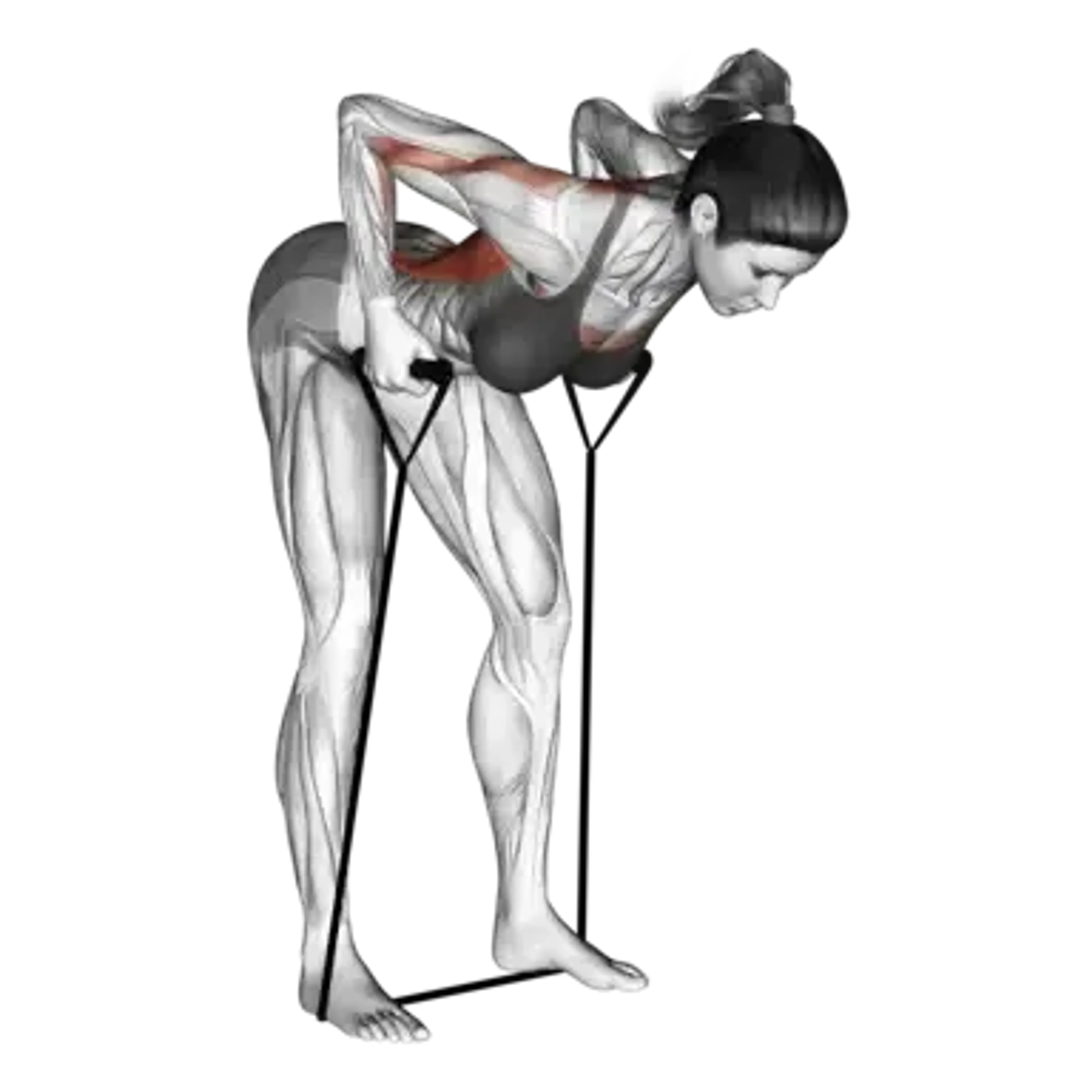 Band Bent-Over Row