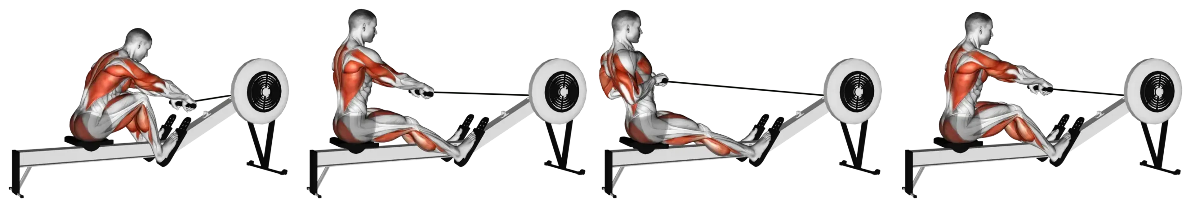Rowing Machine