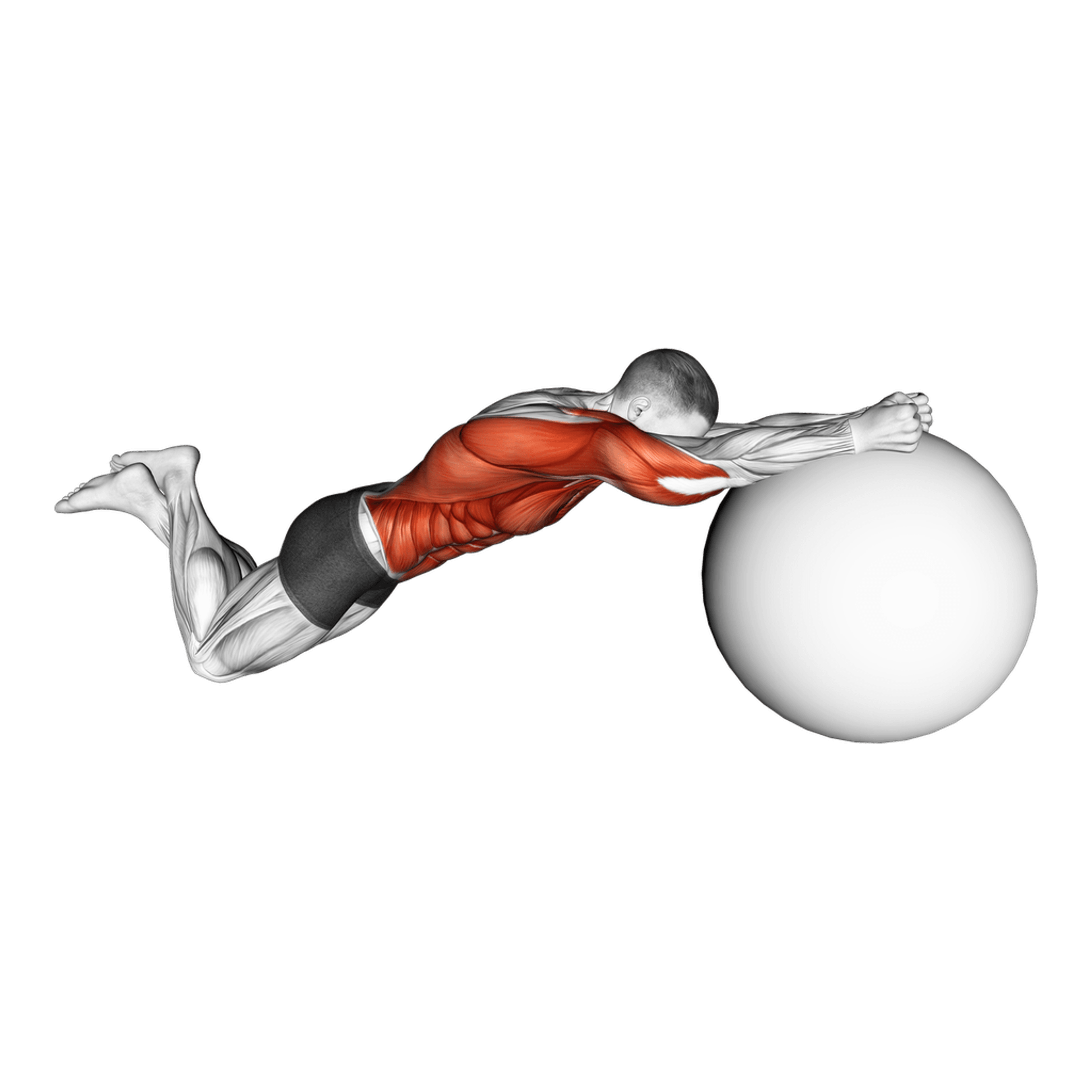 Exercise Ball Rollout