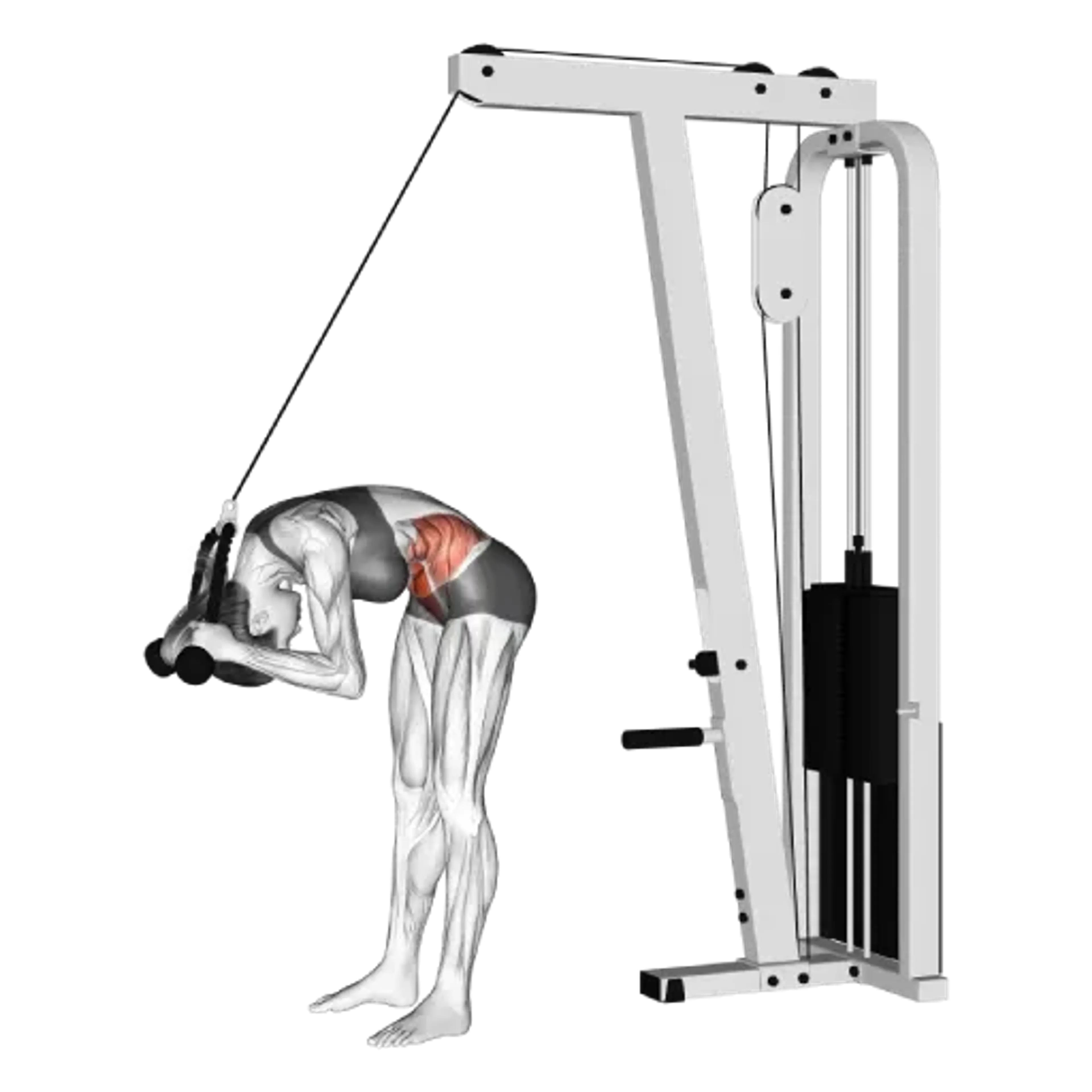 Cable Standing Crunch