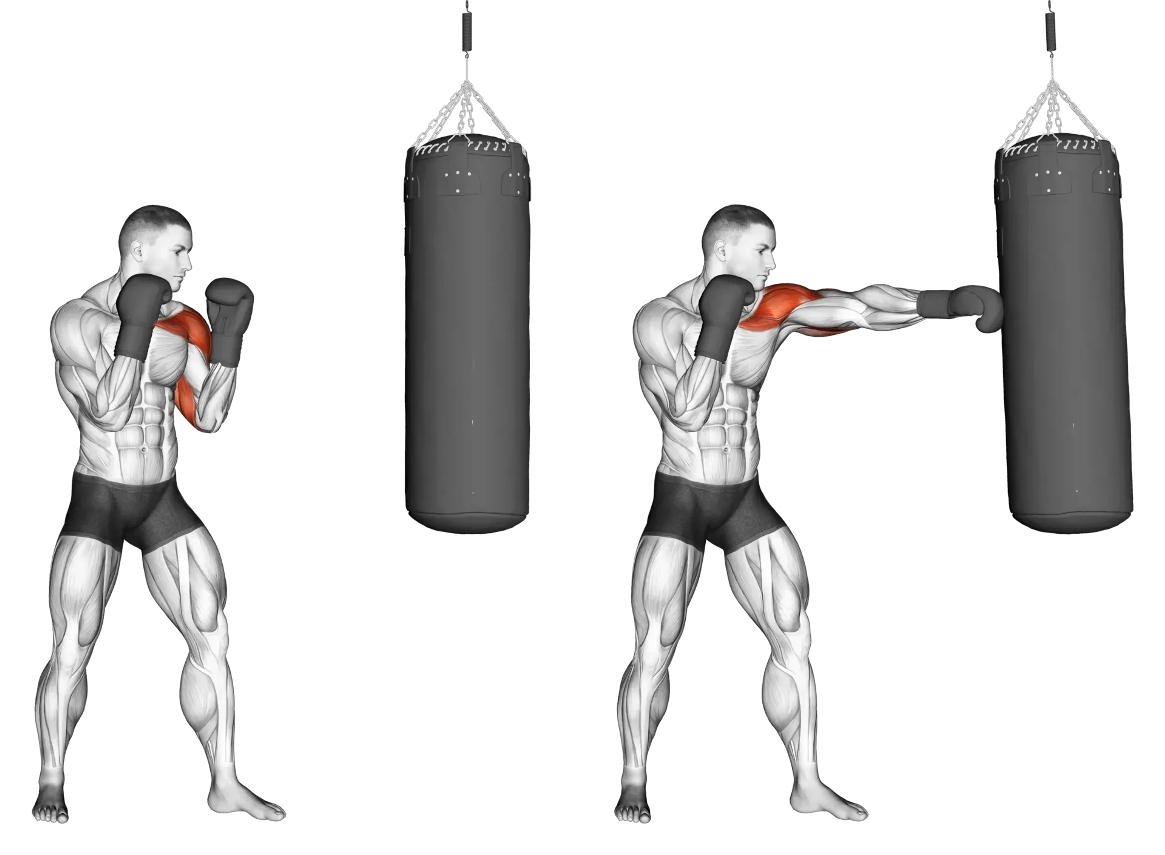 Boxing