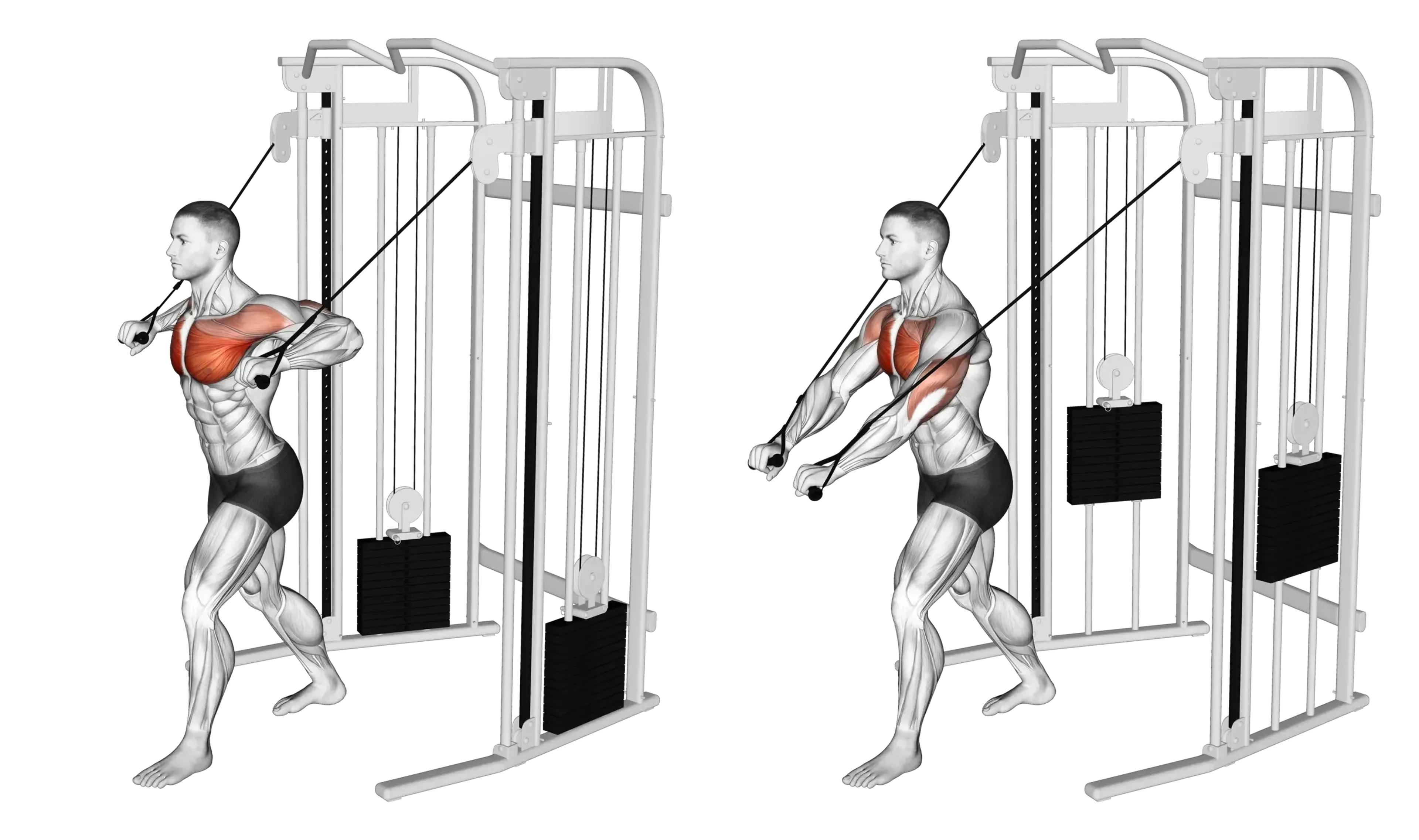 Cable Low Chest Press