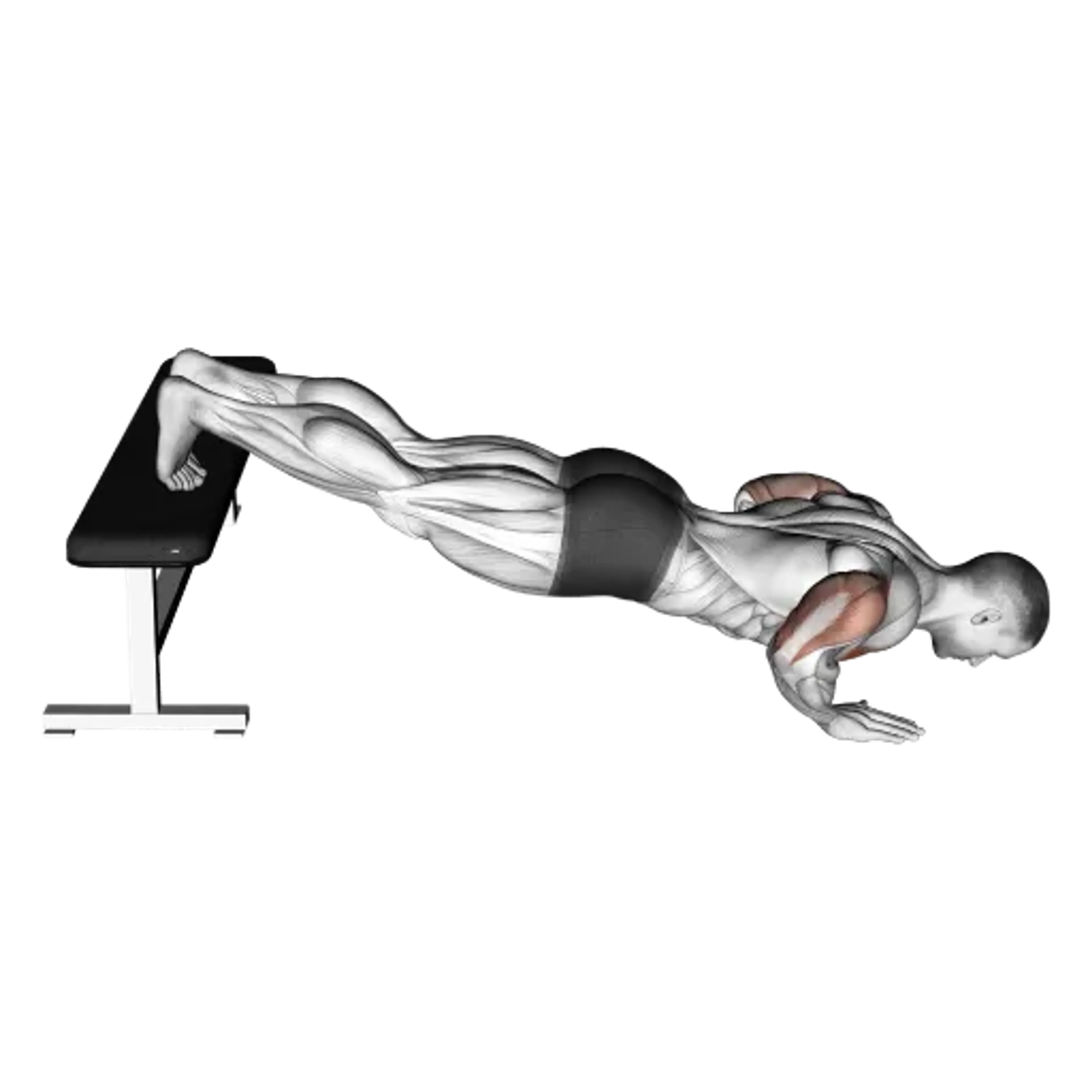 Decline Push-Up