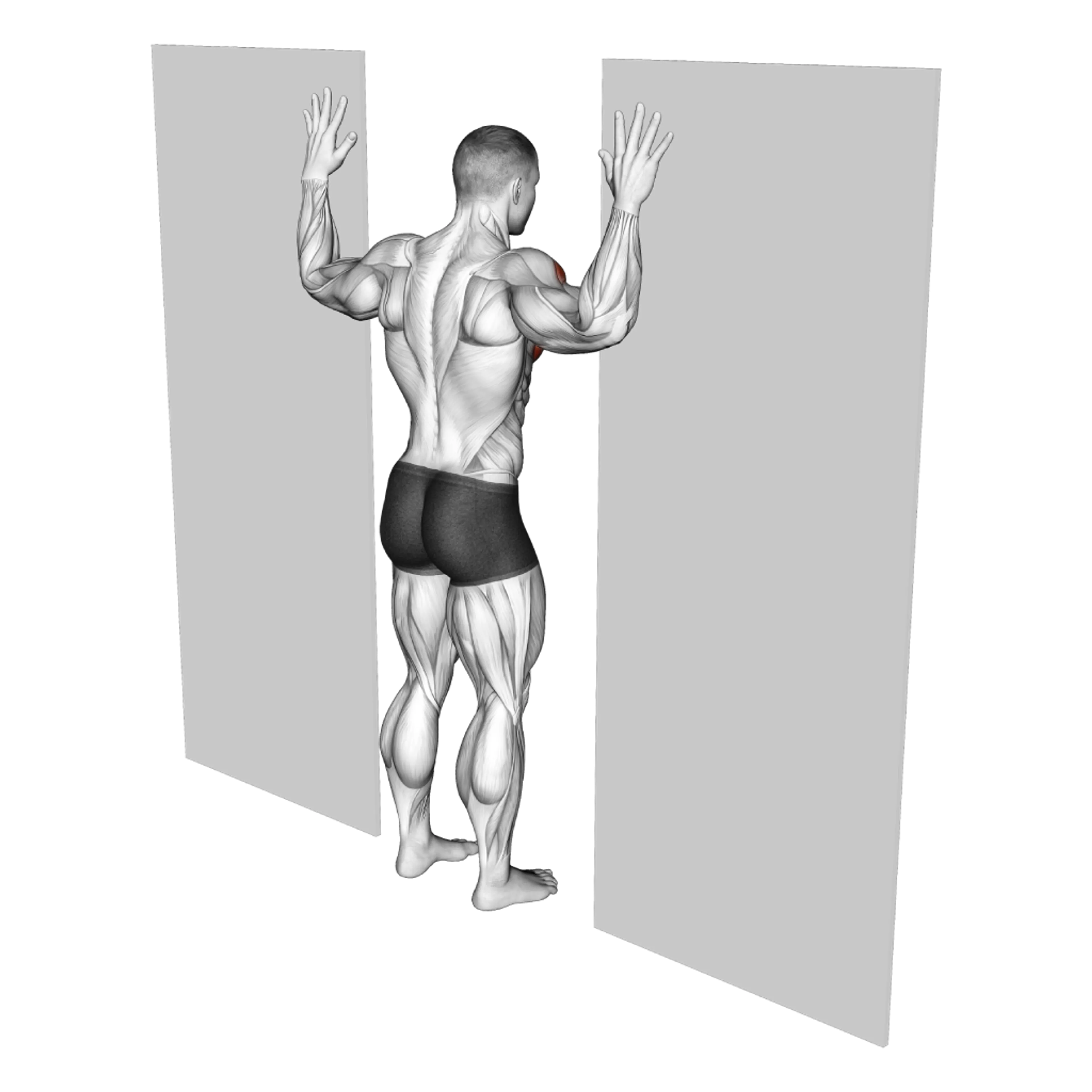 Doorway Chest Stretch