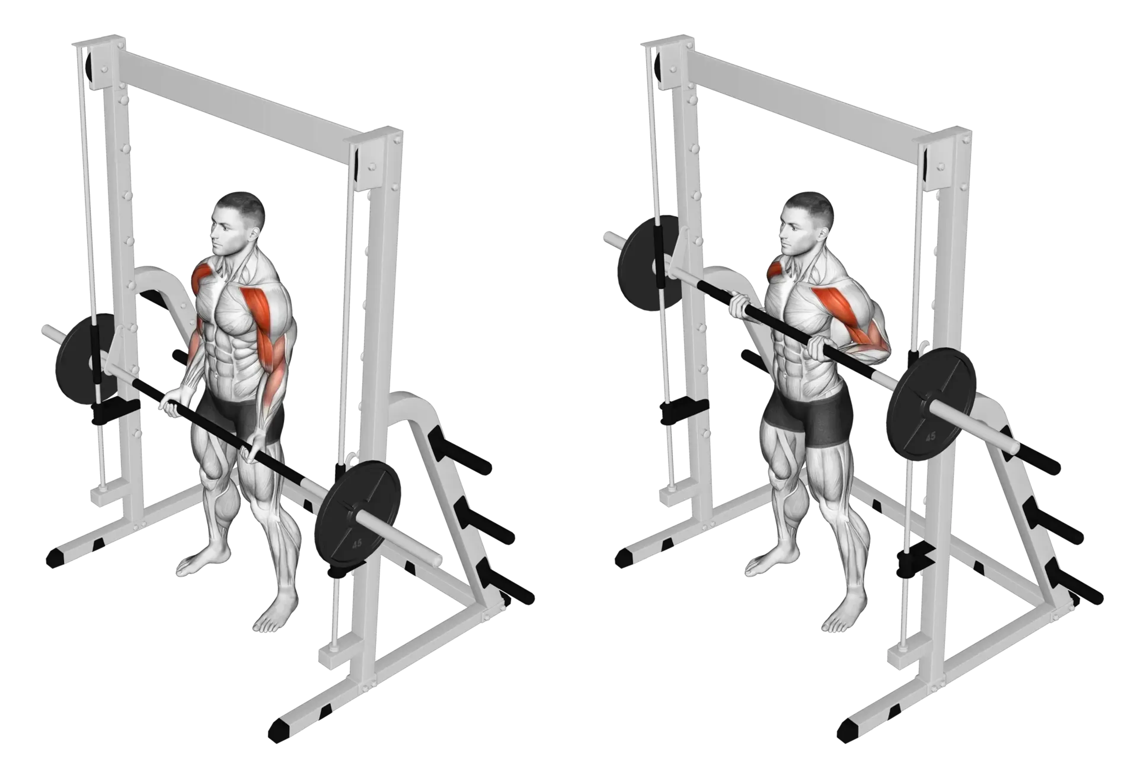 Smith Machine Drag Curl