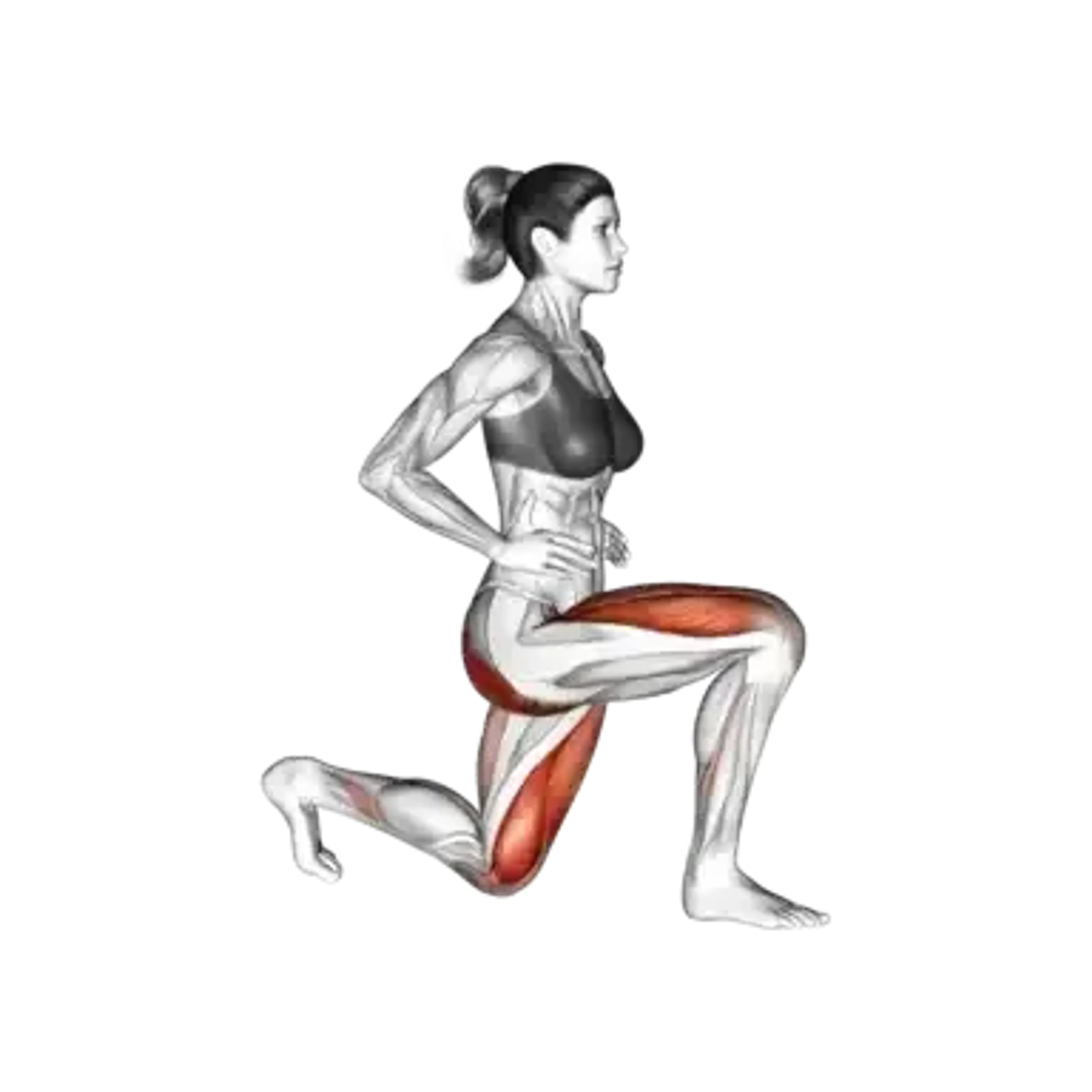Bodyweight Lunge