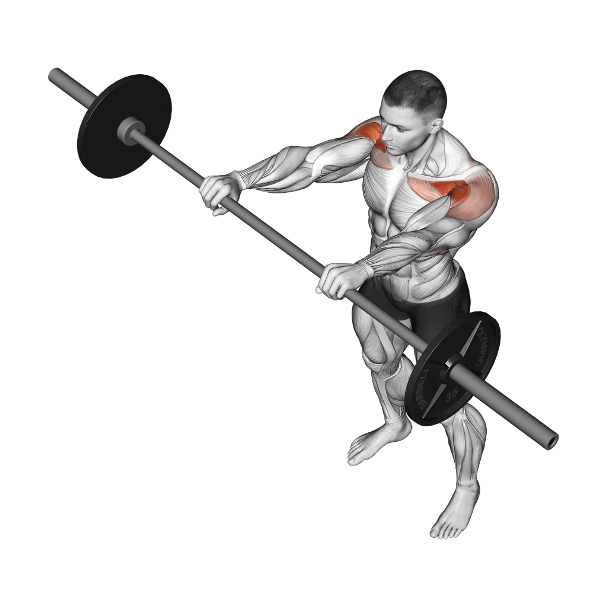 Dumbbell Front Raise: Guide, Muscles Worked, Tips | Athlemove