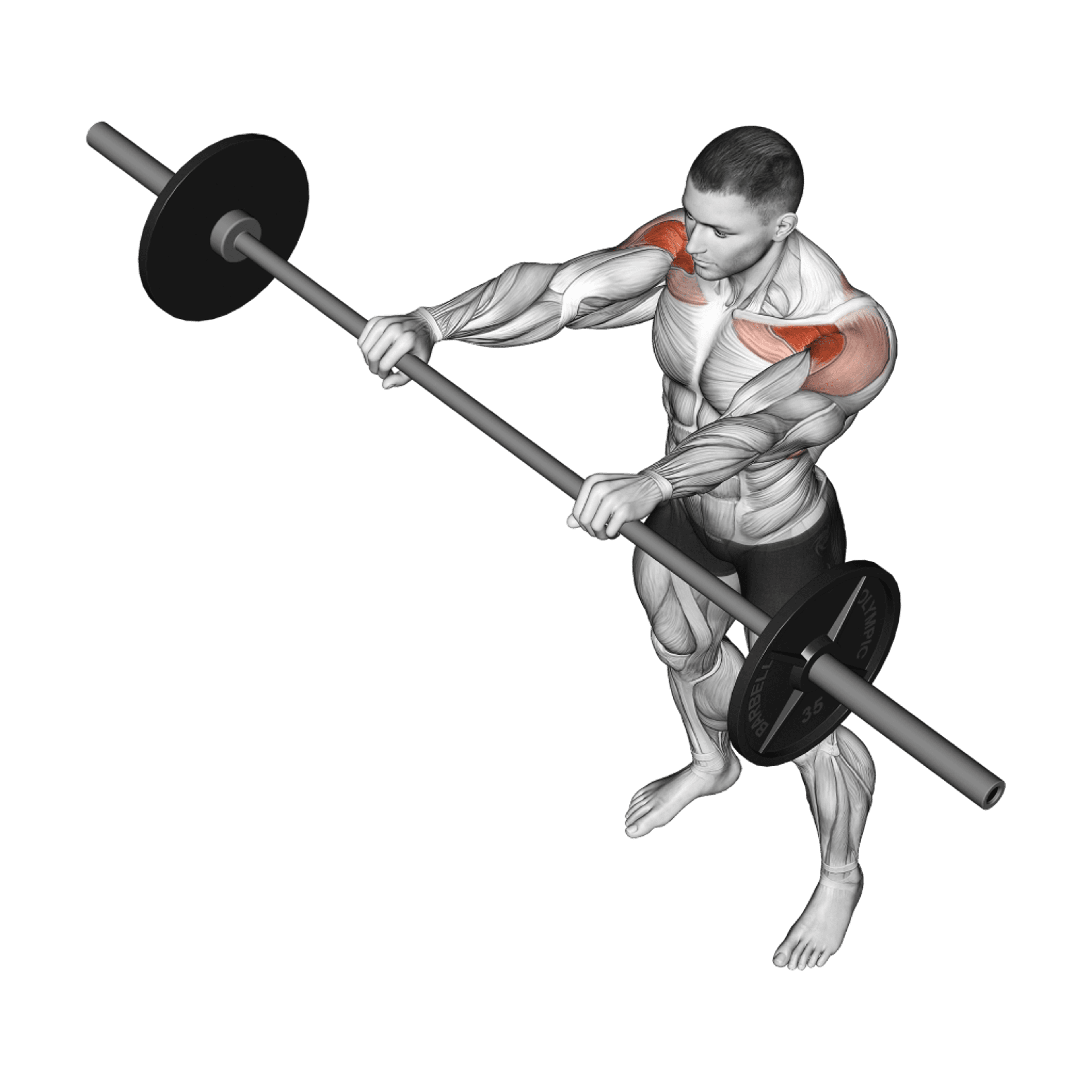 Barbell Front Raise
