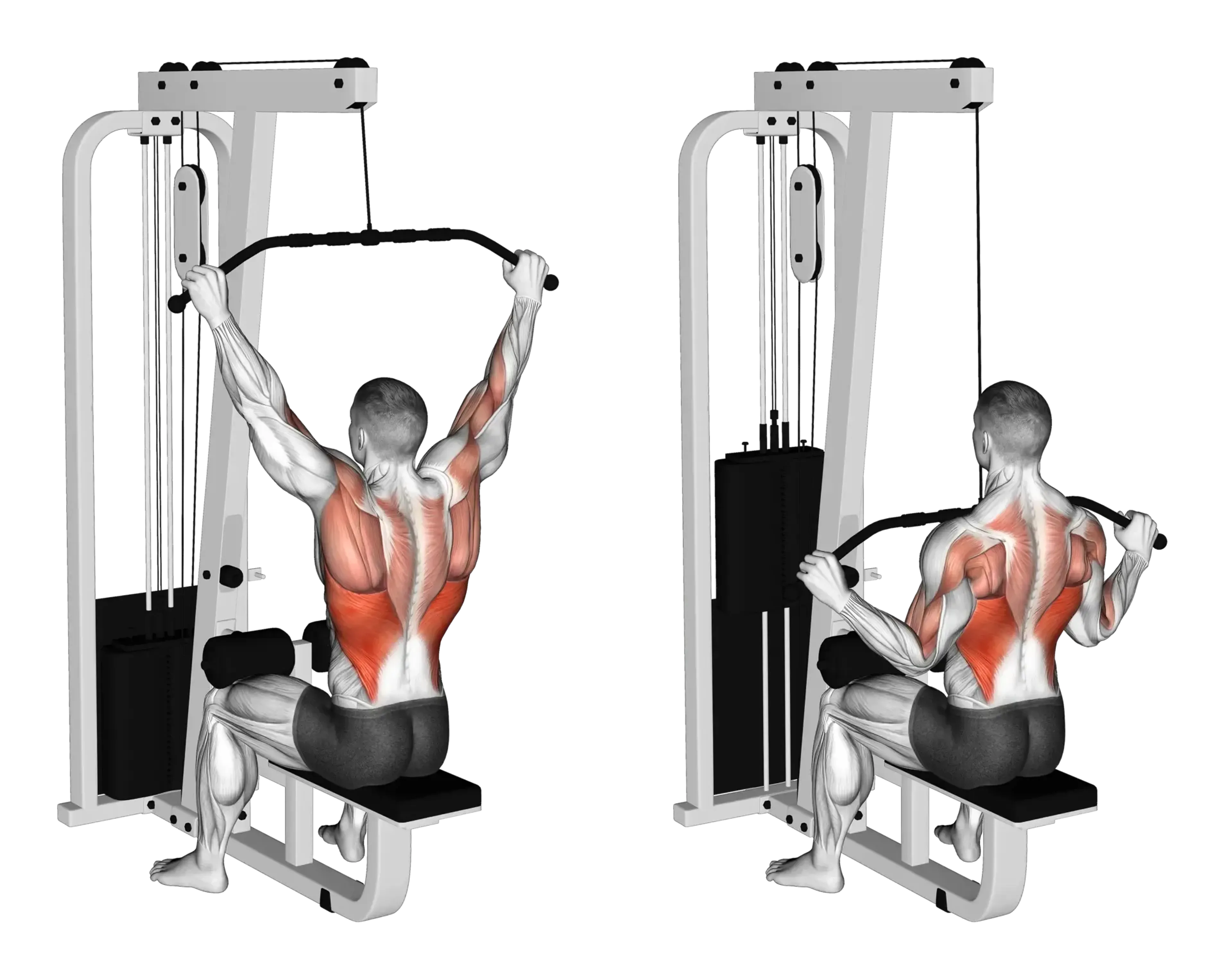 Cable Lat Pulldown (Wide Grip)