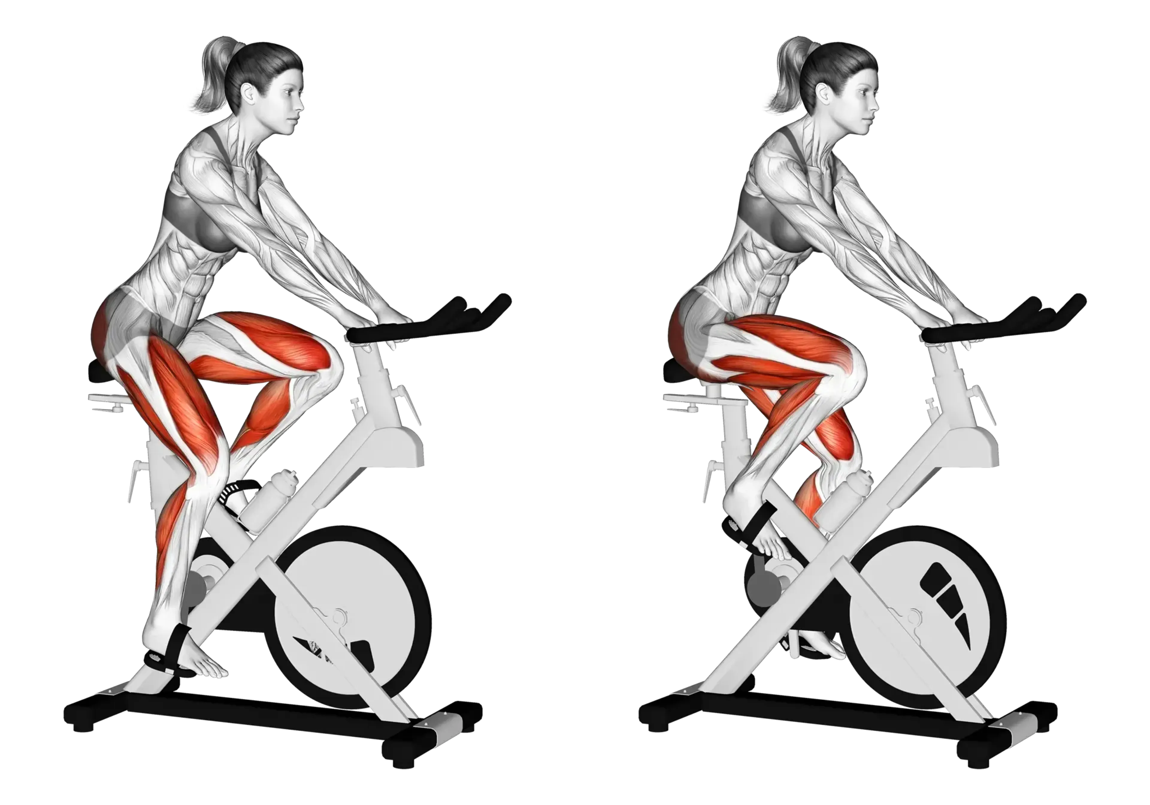Indoor Cycle